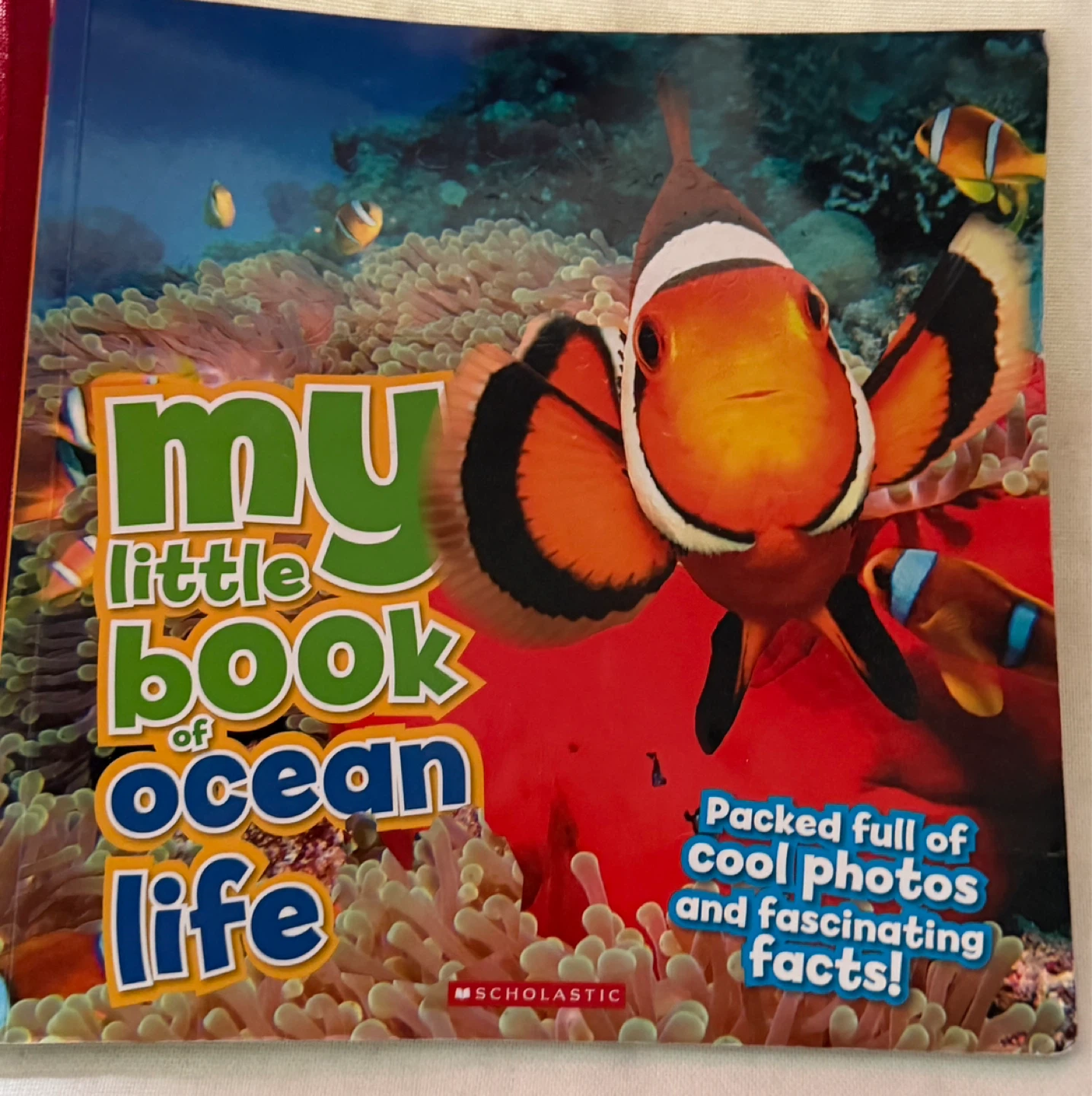 Children’s Book - photo 4