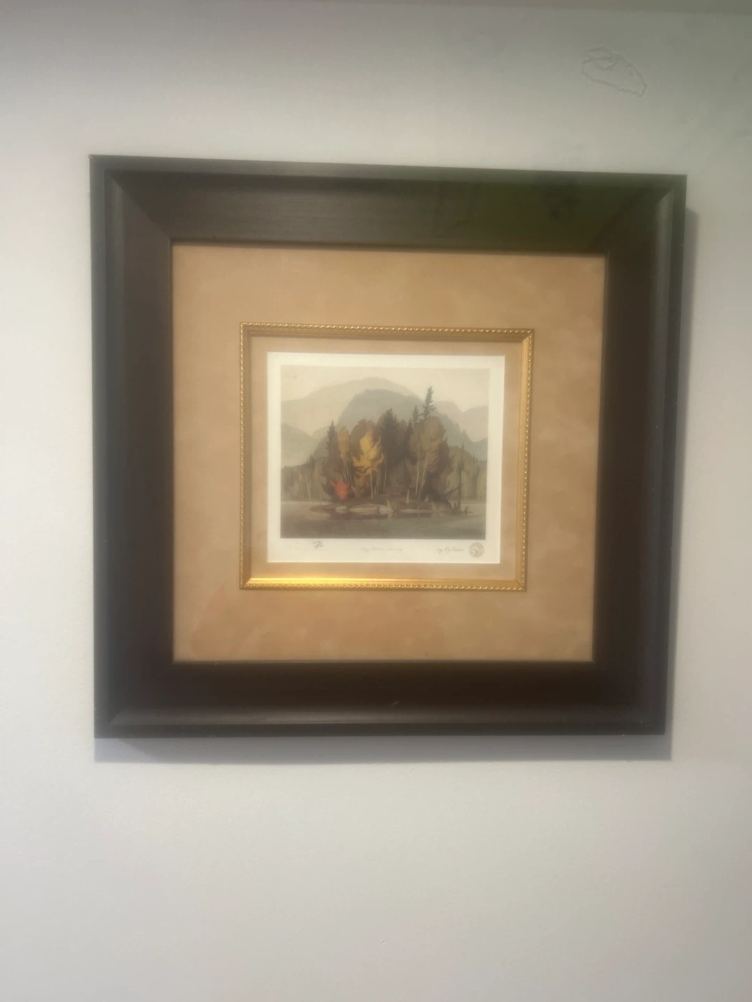 Framed Autumn Landscape Art Print