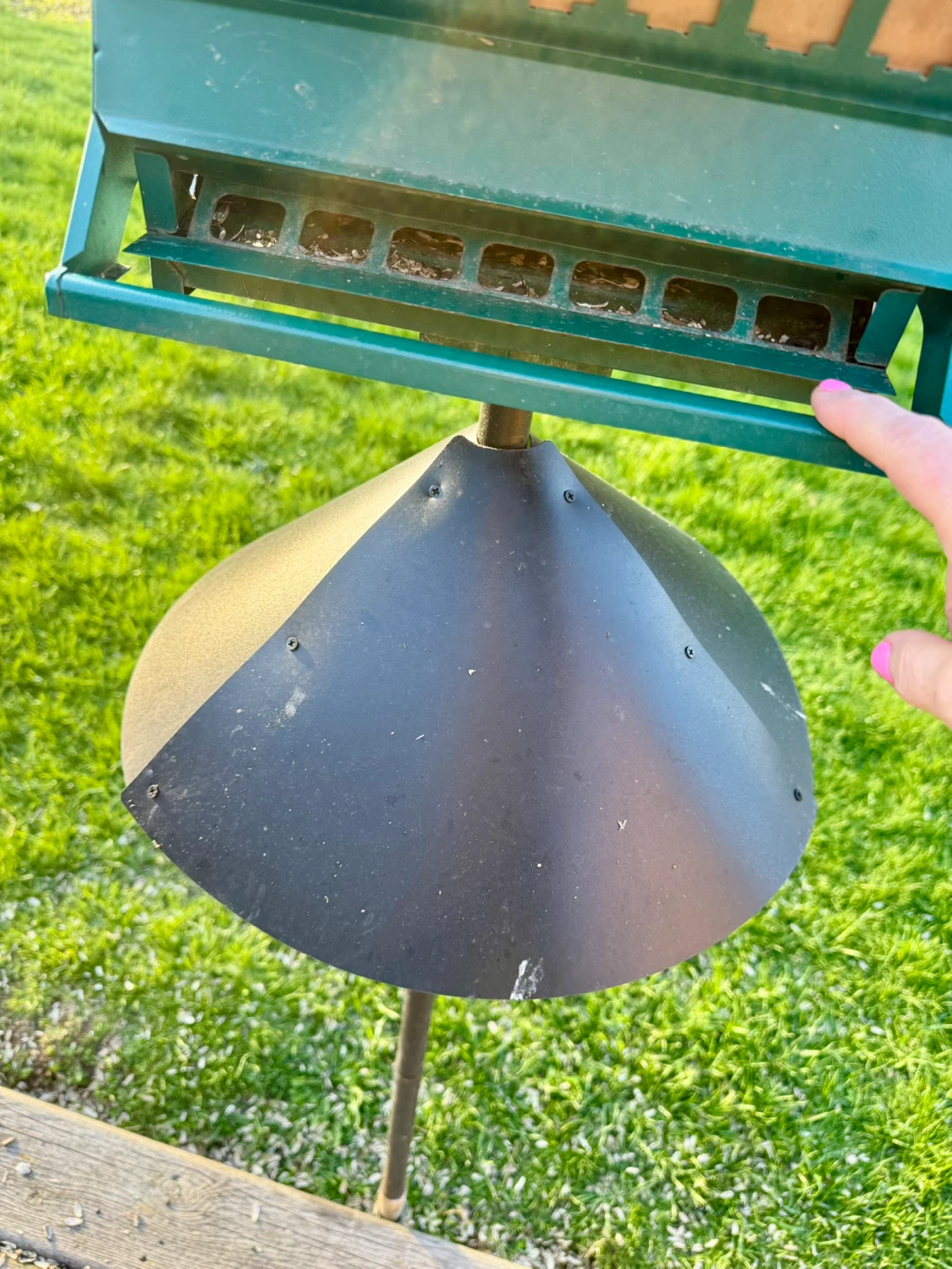 Green metal bird feeder with baffle - photo 3