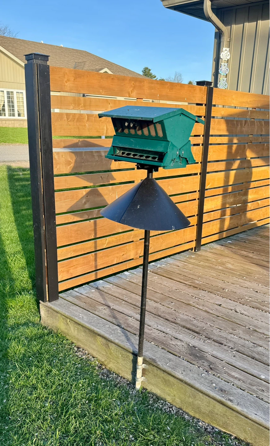 Green metal bird feeder with baffle - photo 2
