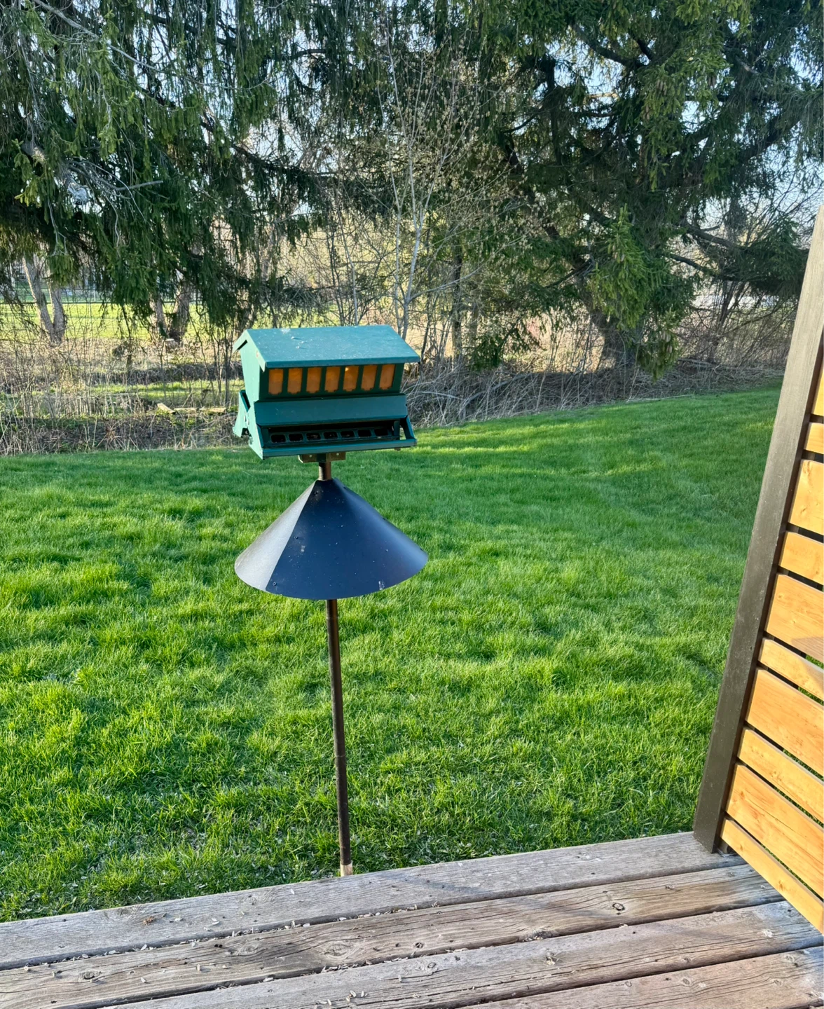 Green metal bird feeder with baffle