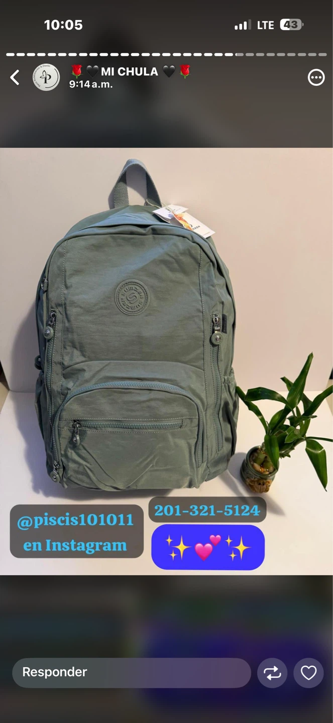 Kipling Backpack - Sage Green