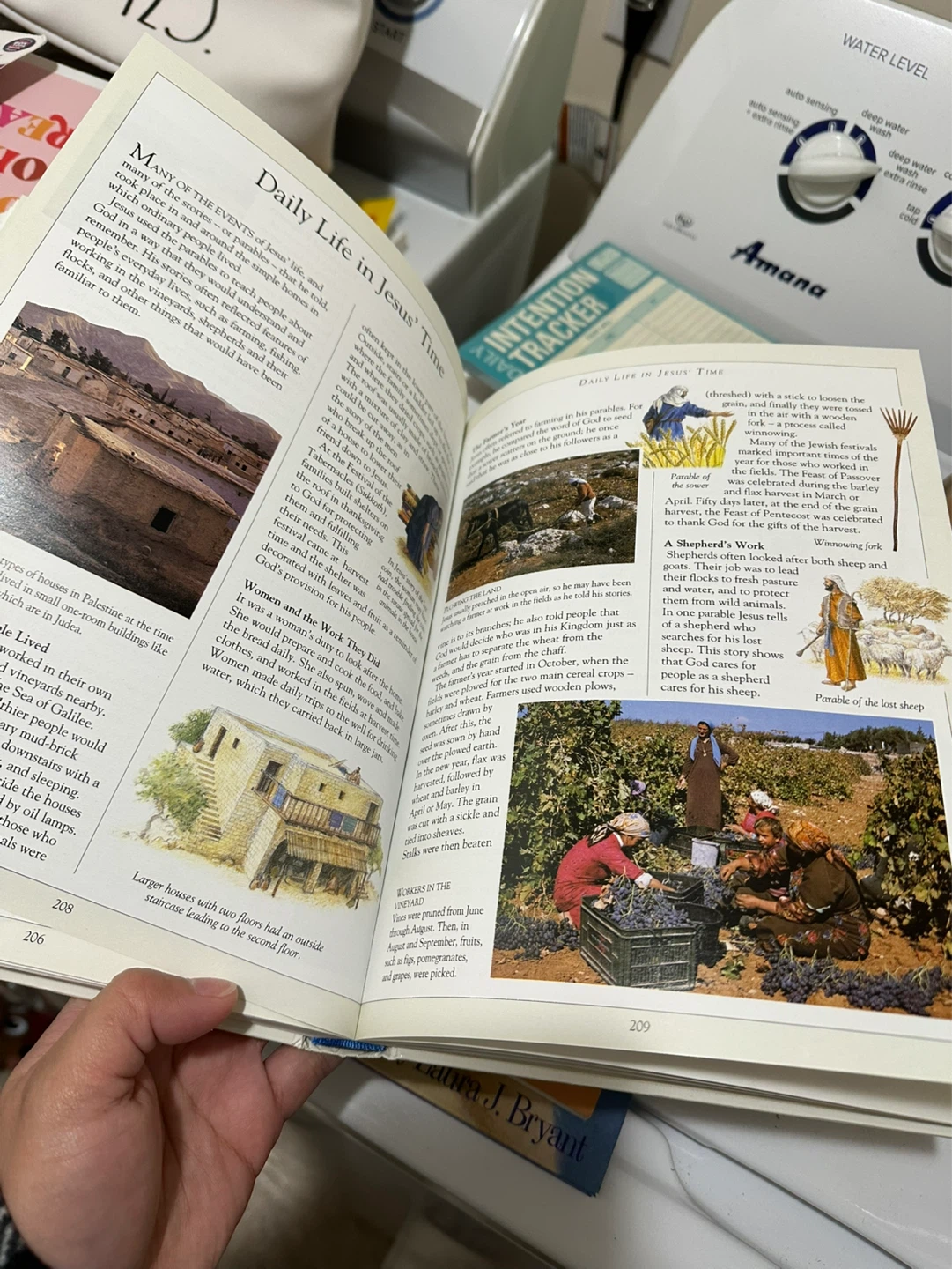The Children's Illustrated Bible - photo 2