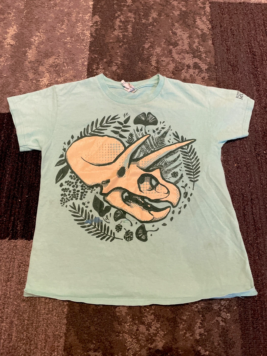 Kids Dinosaur T-Shirt size medium