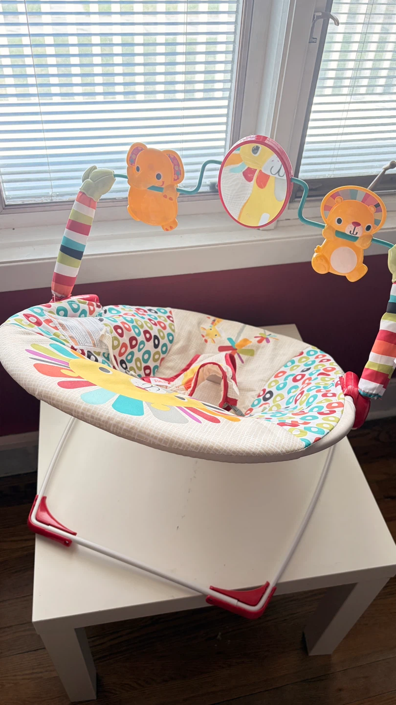 Bright Starts Baby Bouncer - photo 3