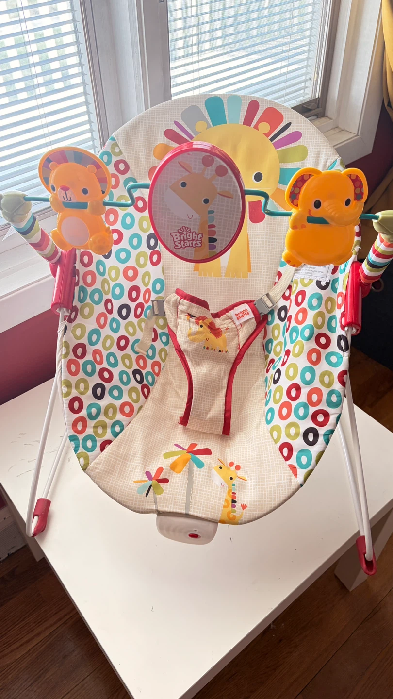 Bright Starts Baby Bouncer - photo 2