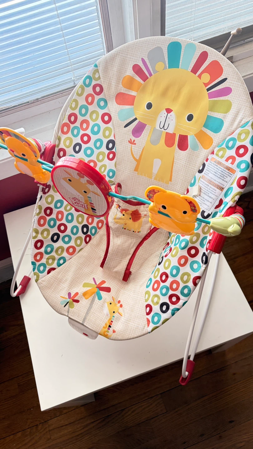 Bright Starts Baby Bouncer