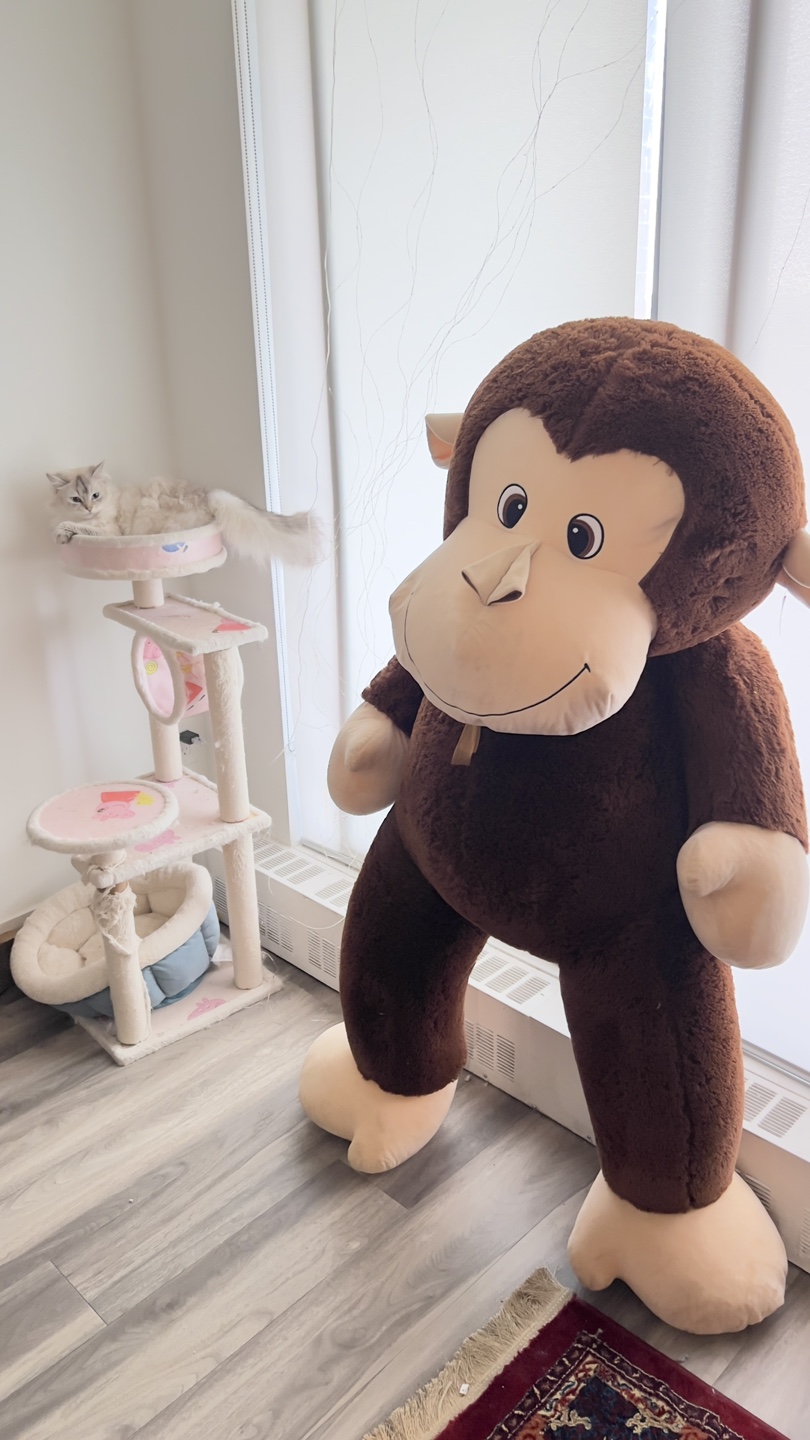 Caravan Softoys Giant Monkey Plush