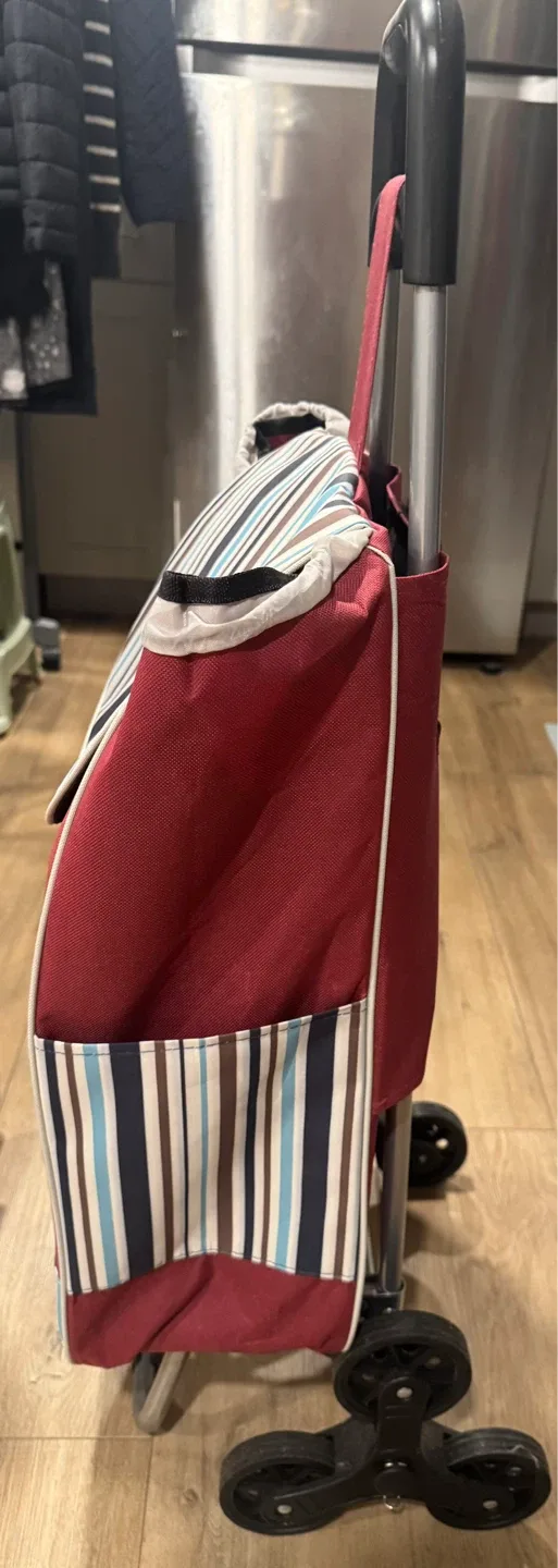 Two Shopping Trolleys - Checkerboard & Striped - photo 2