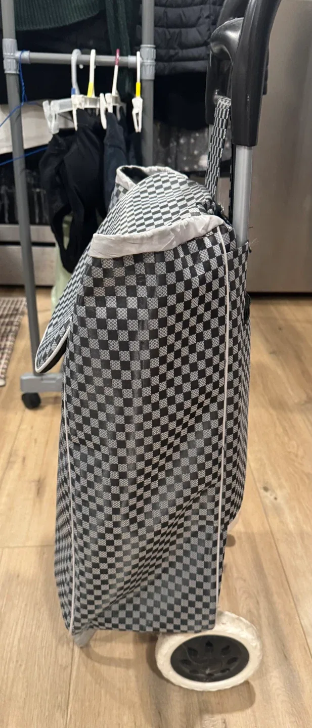 Two Shopping Trolleys - Checkerboard & Striped - photo 4