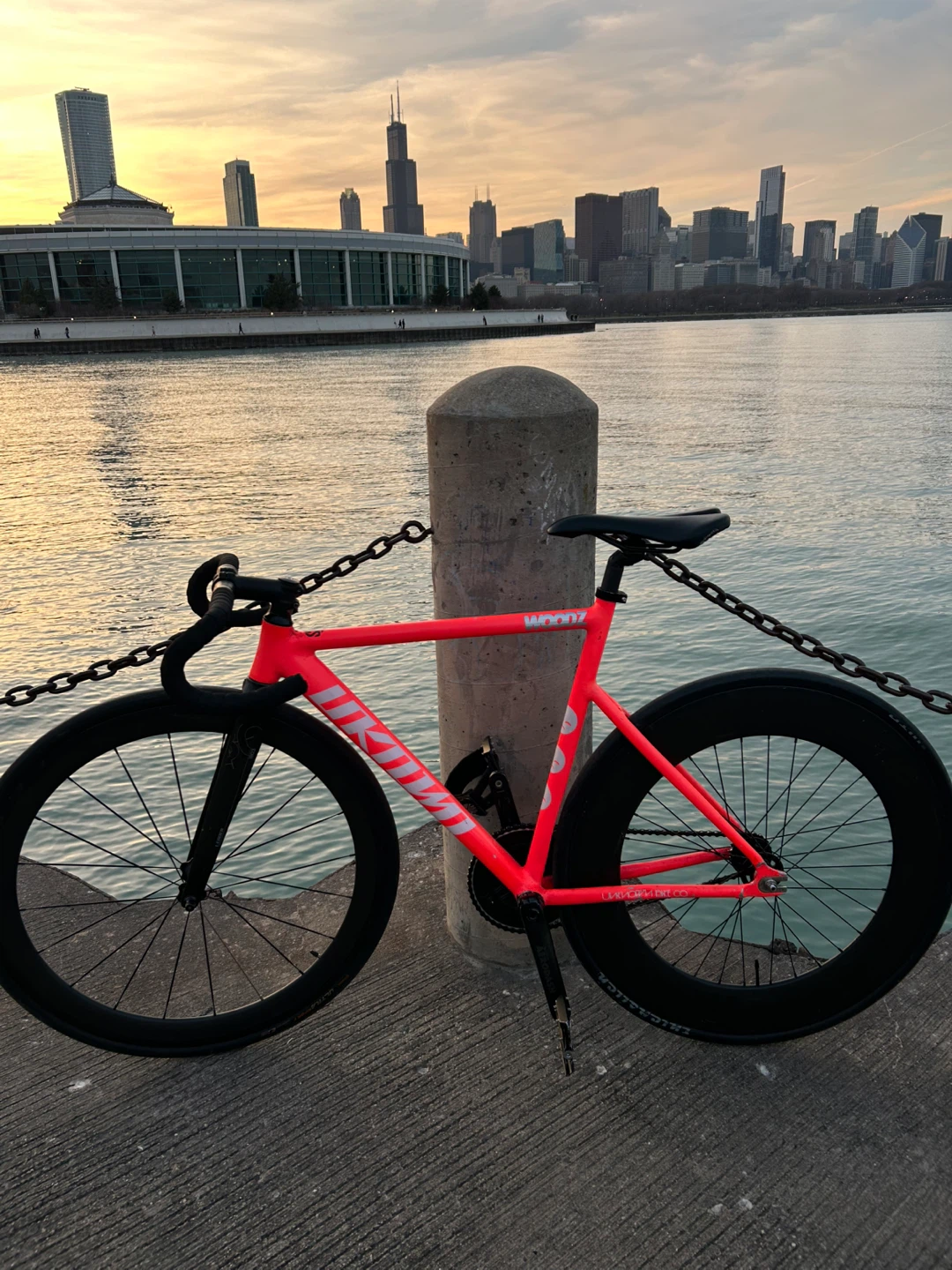Unknown fixie - photo 5