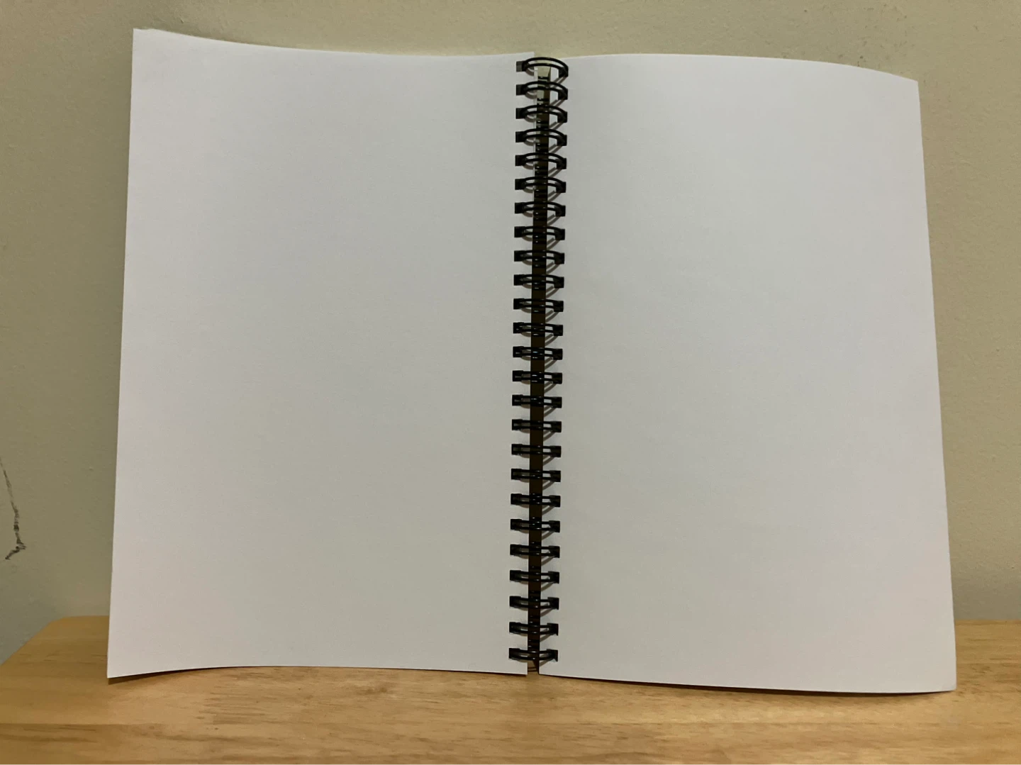 Culturelle Probiotics Green Spiral Notebook - photo 2