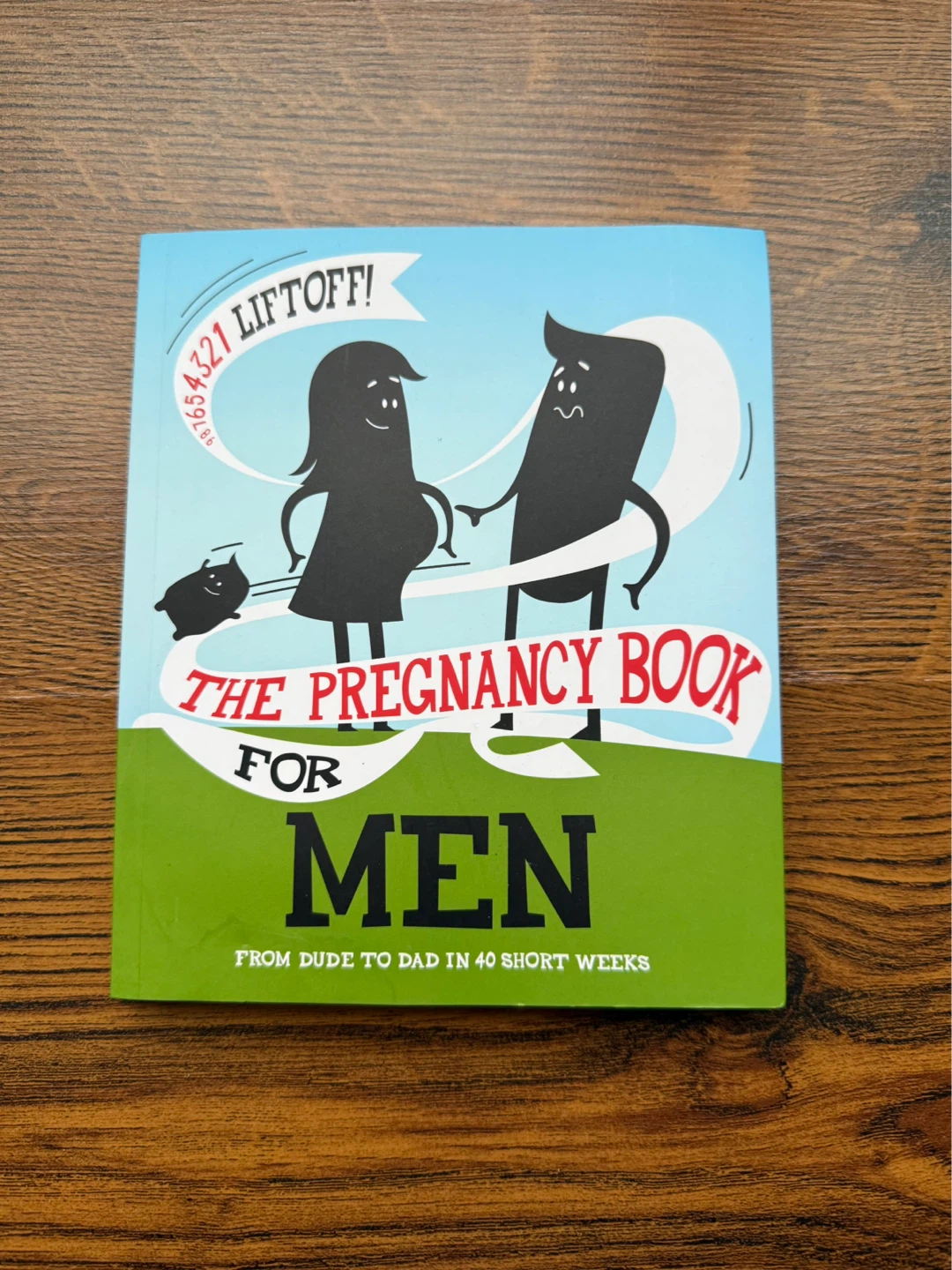 The Pregnancy Book For Men Book