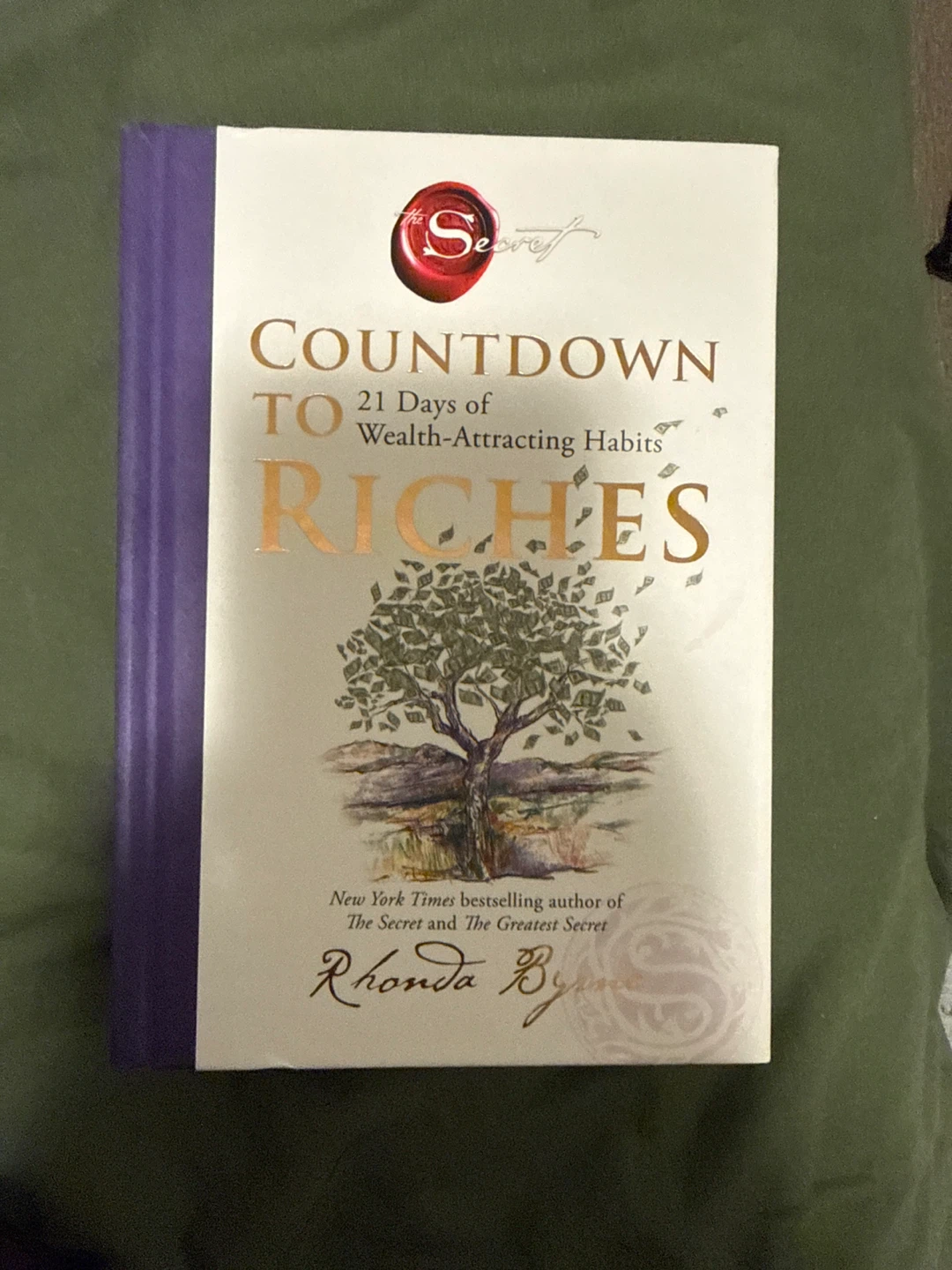 Countdown to Riches by Rhonda Byrne