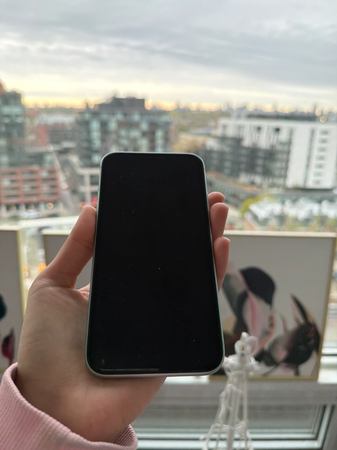 Apple iPhone 11 - Mint Green