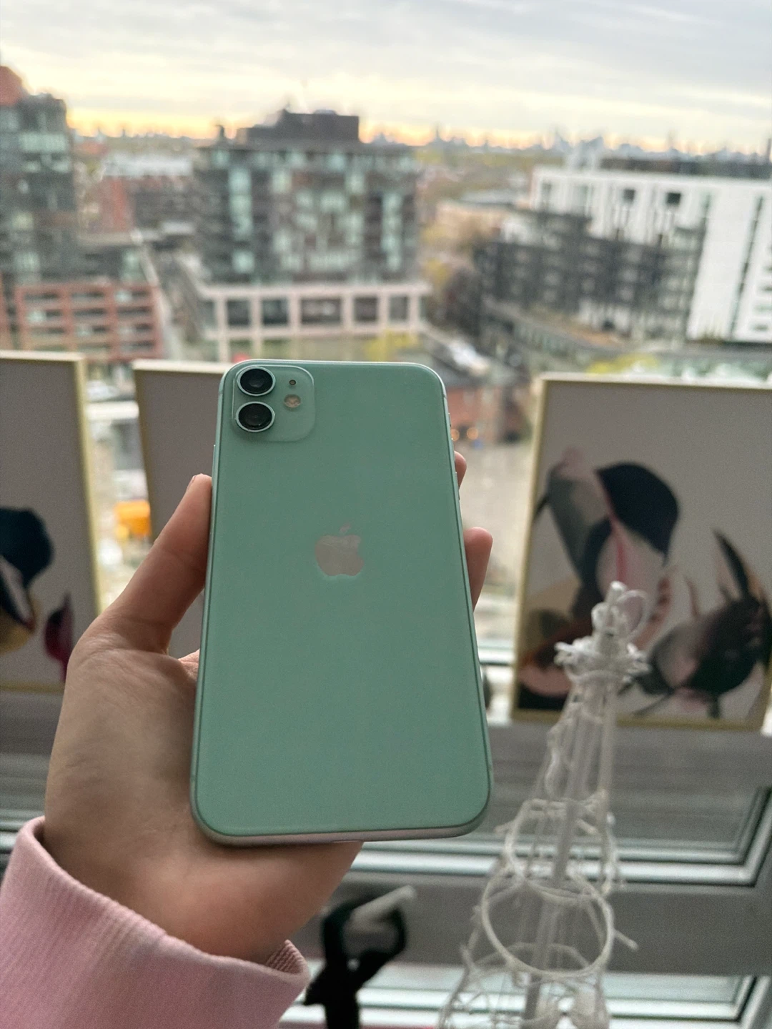 Apple iPhone 11 - Mint Green - photo 2