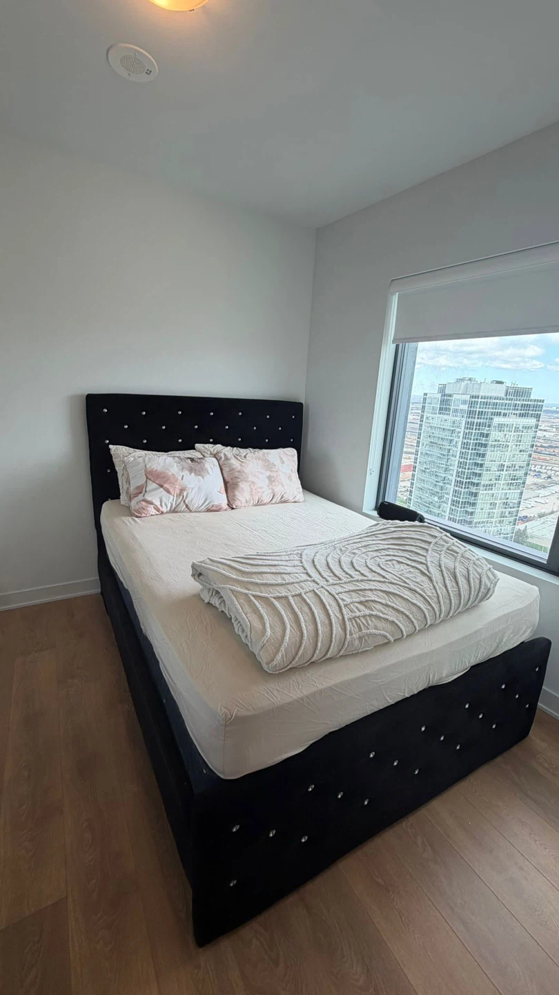 Black Velvet Queen Bed with Mattress and Box Spring