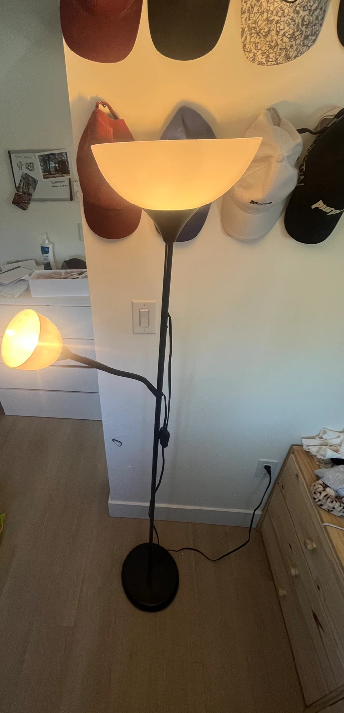 Black Floor Lamp with Adjustable Light