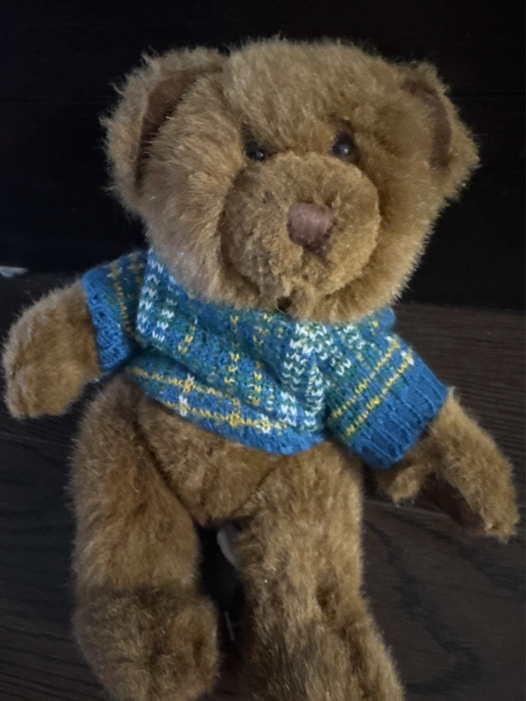 Teddy bear