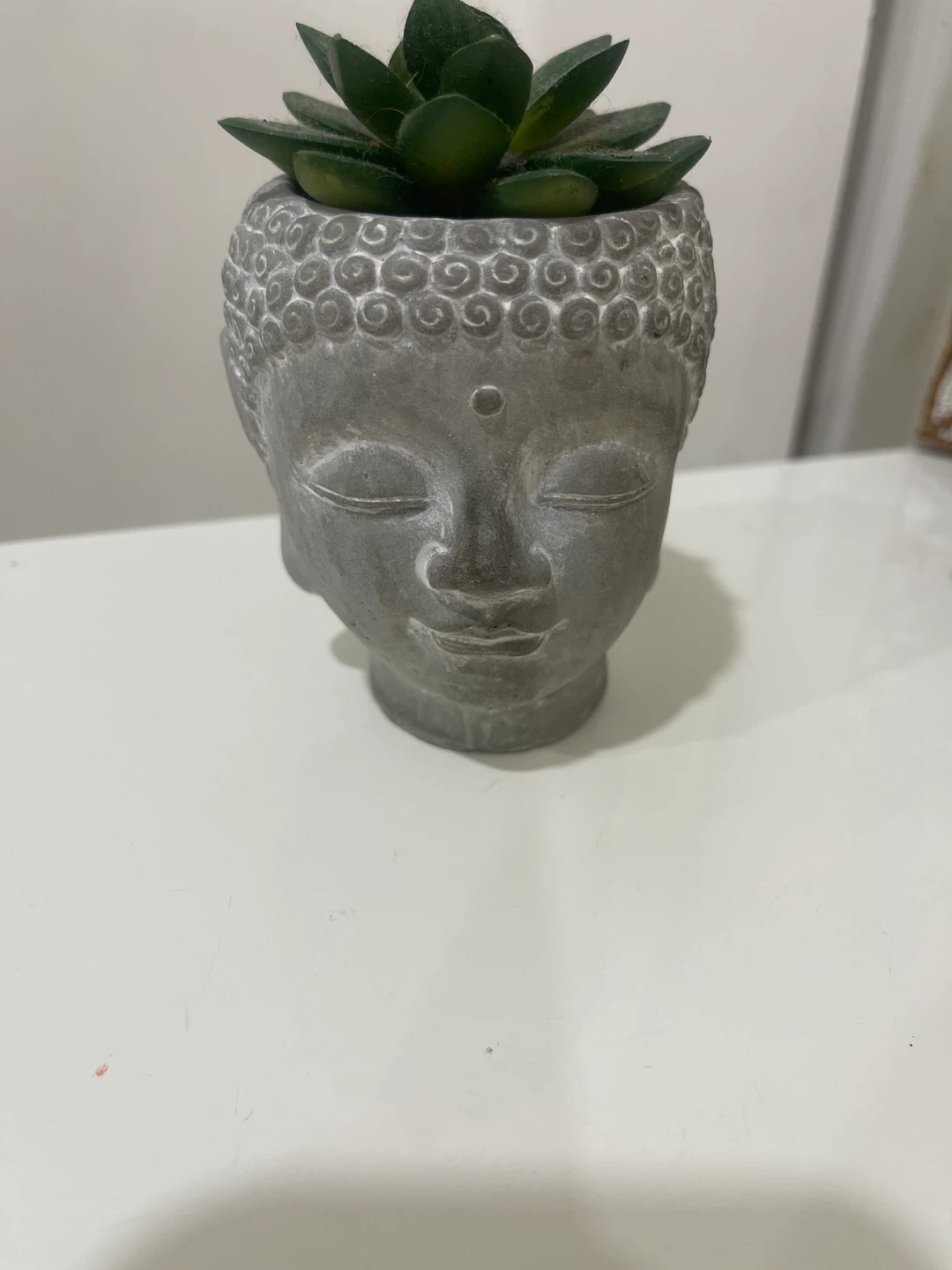 Buddha Head Planter with Succulent