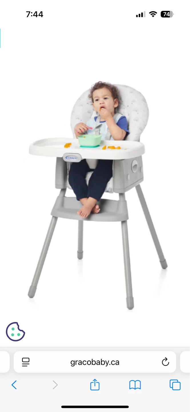 Graco Baby High Chair