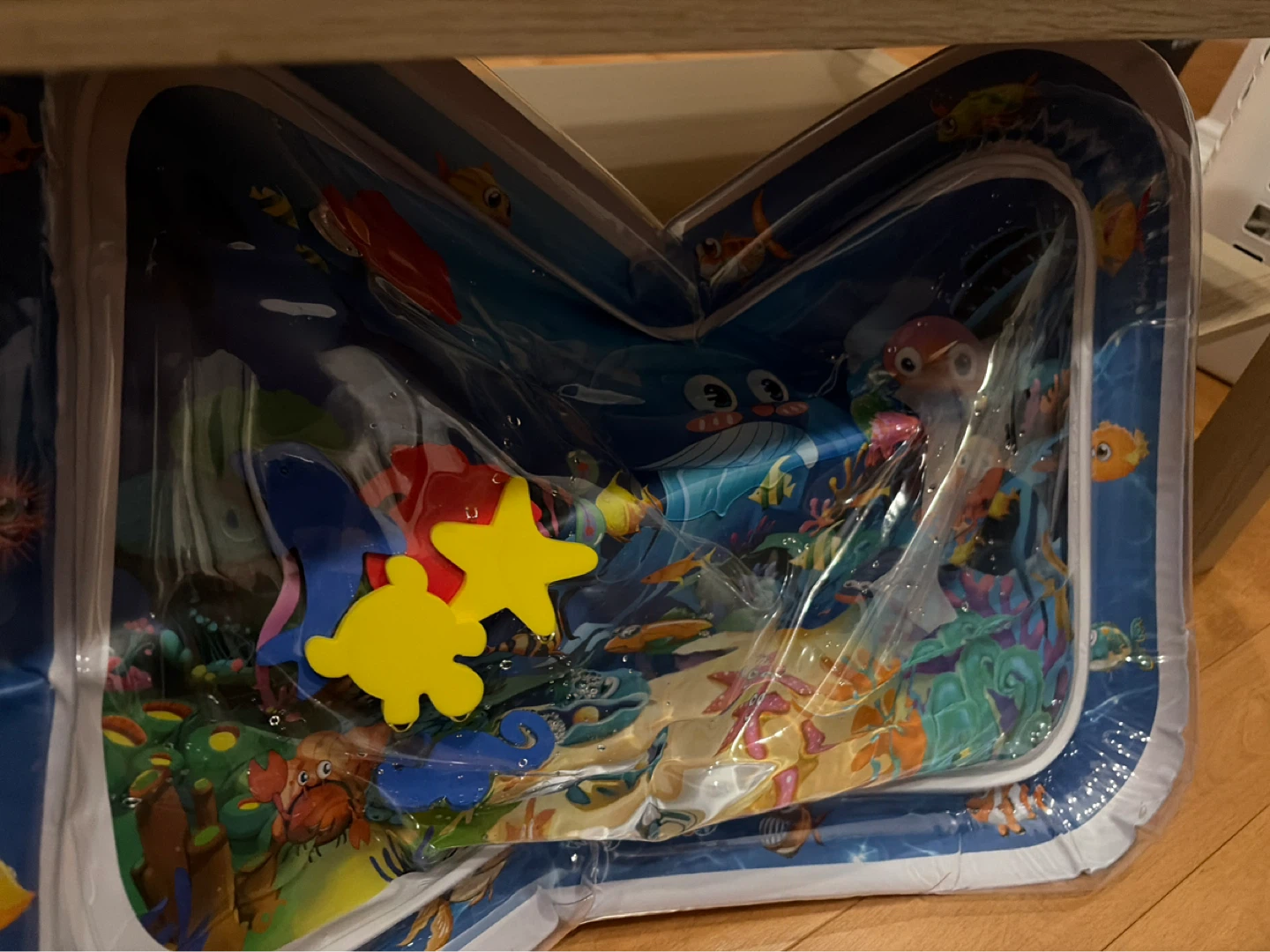 Inflatable Water Play Mat