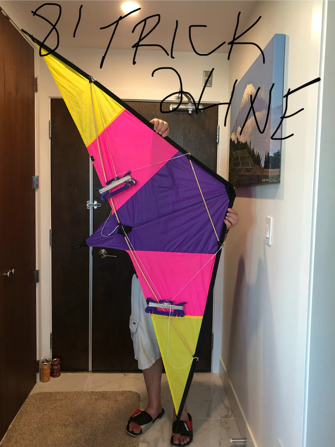 5 Kites & Cord Reels Delta & Trick kites all sizes