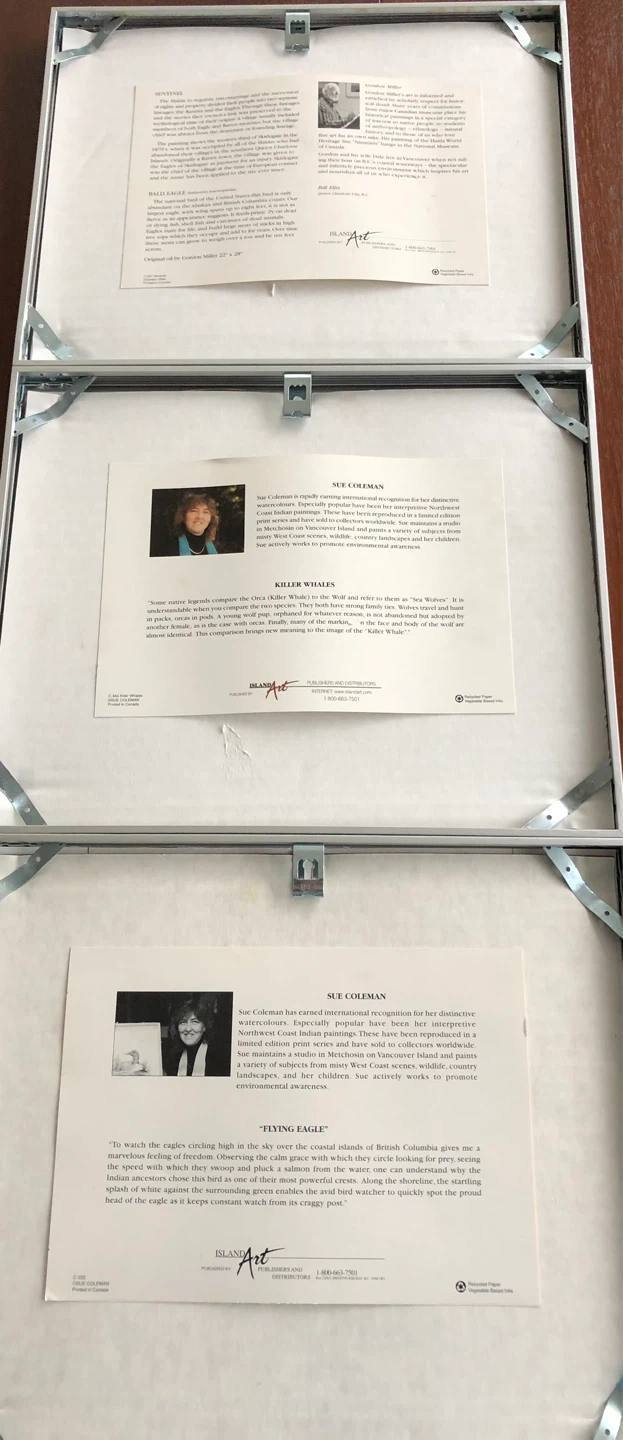 3 Metal Framed Haida Gwaii Art Prints - photo 5