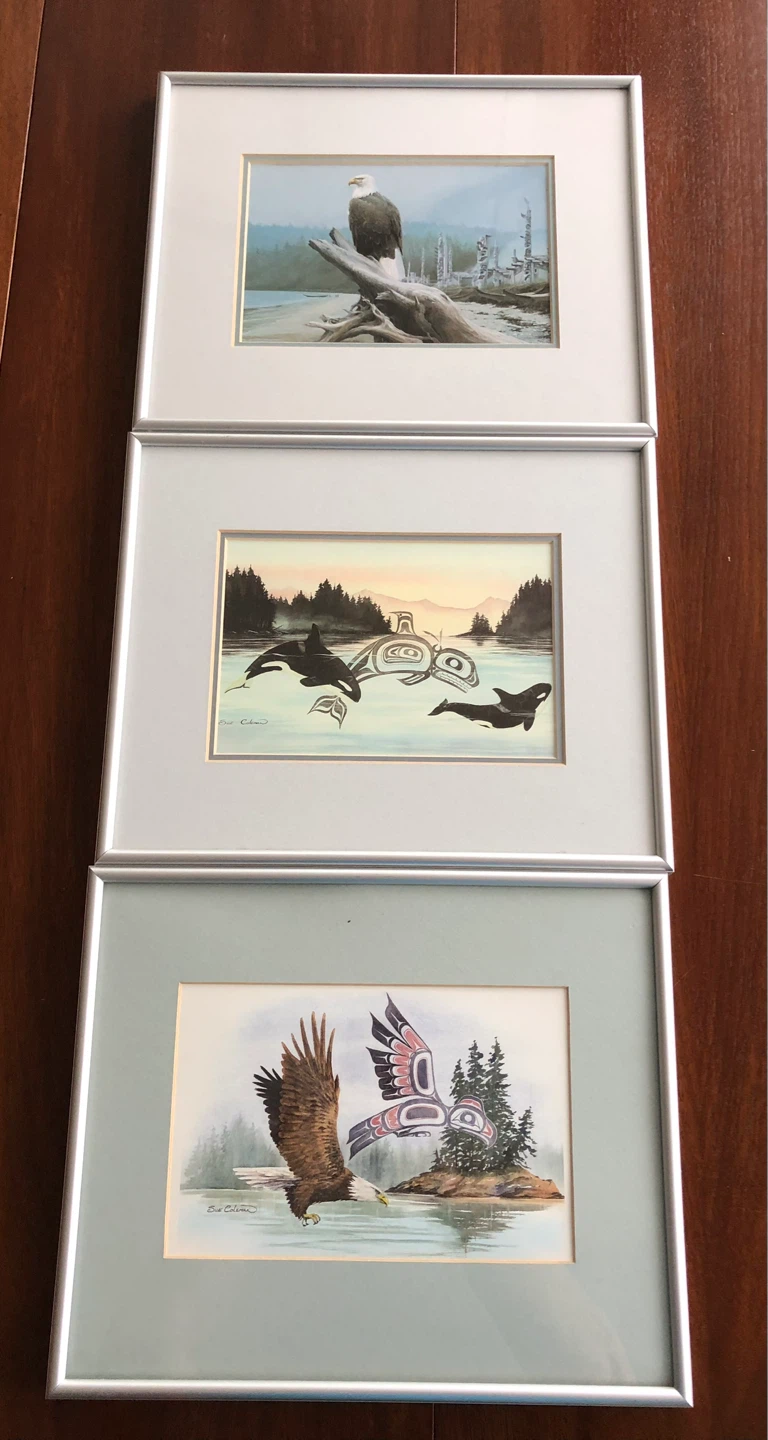 3 Metal Framed Haida Gwaii Art Prints