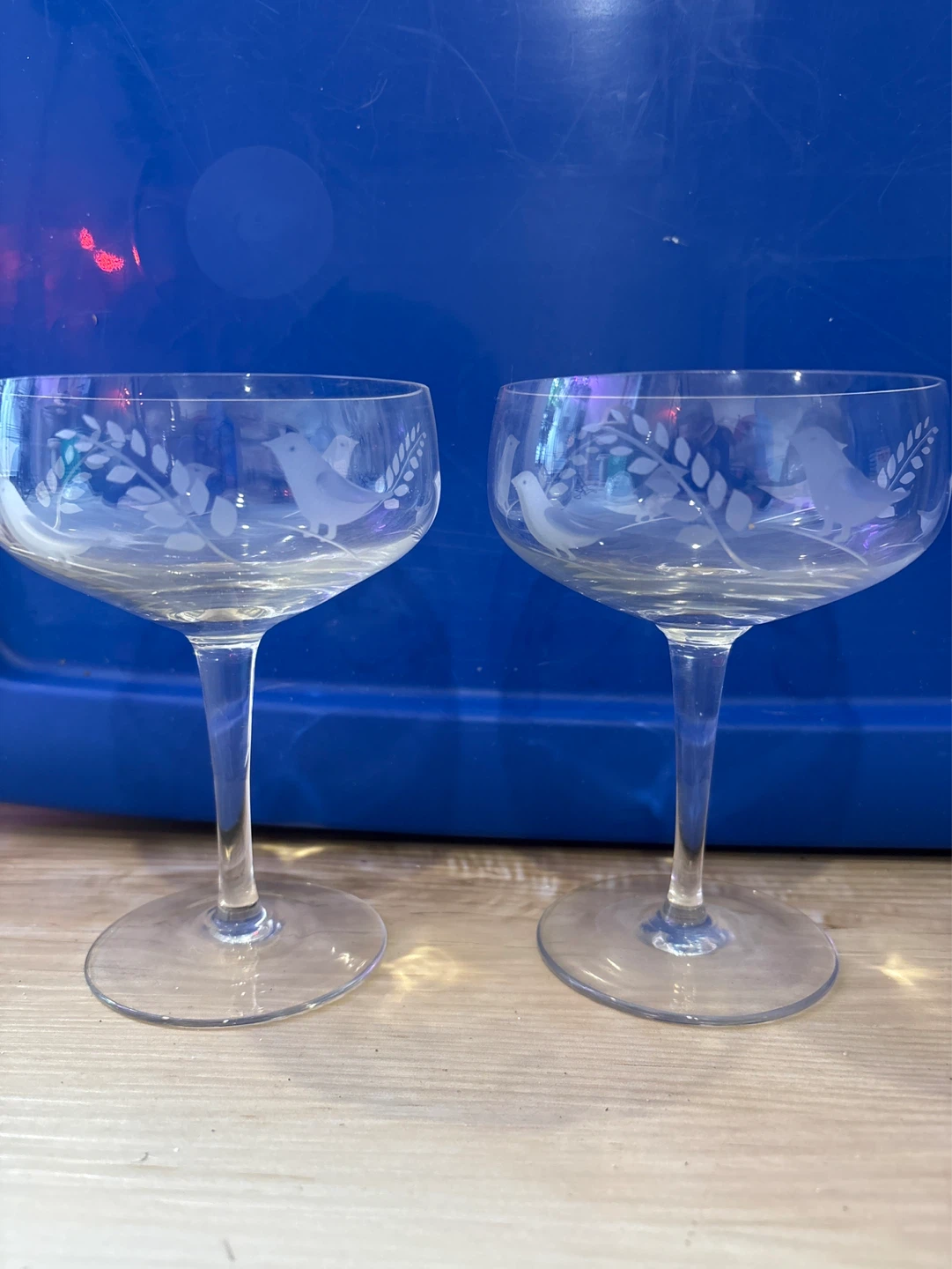 Etched Glass Coupe Glasses - Set of 2