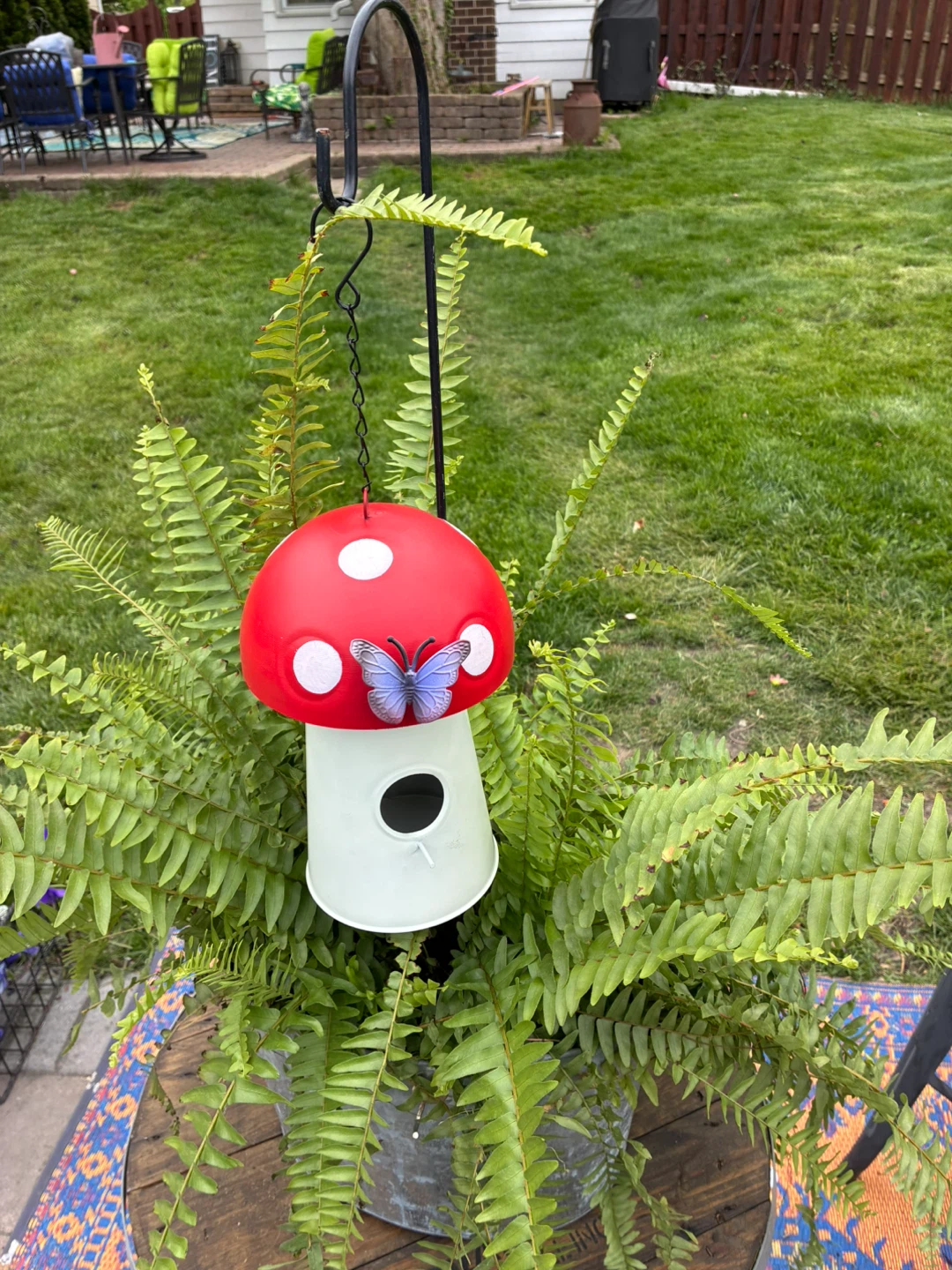 Mushroom Birdhouse with Fern Plant - photo 2