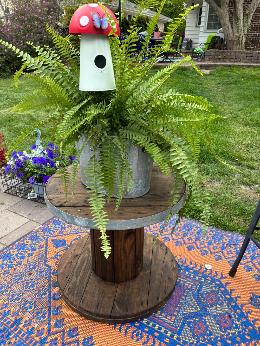 Mushroom Birdhouse with Fern Plant - photo 3