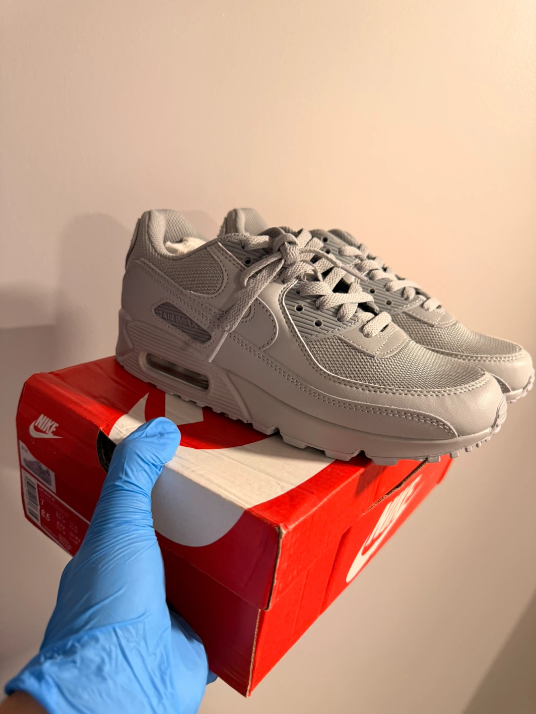 Nike Air Max 90 Grey wolf Sneakers