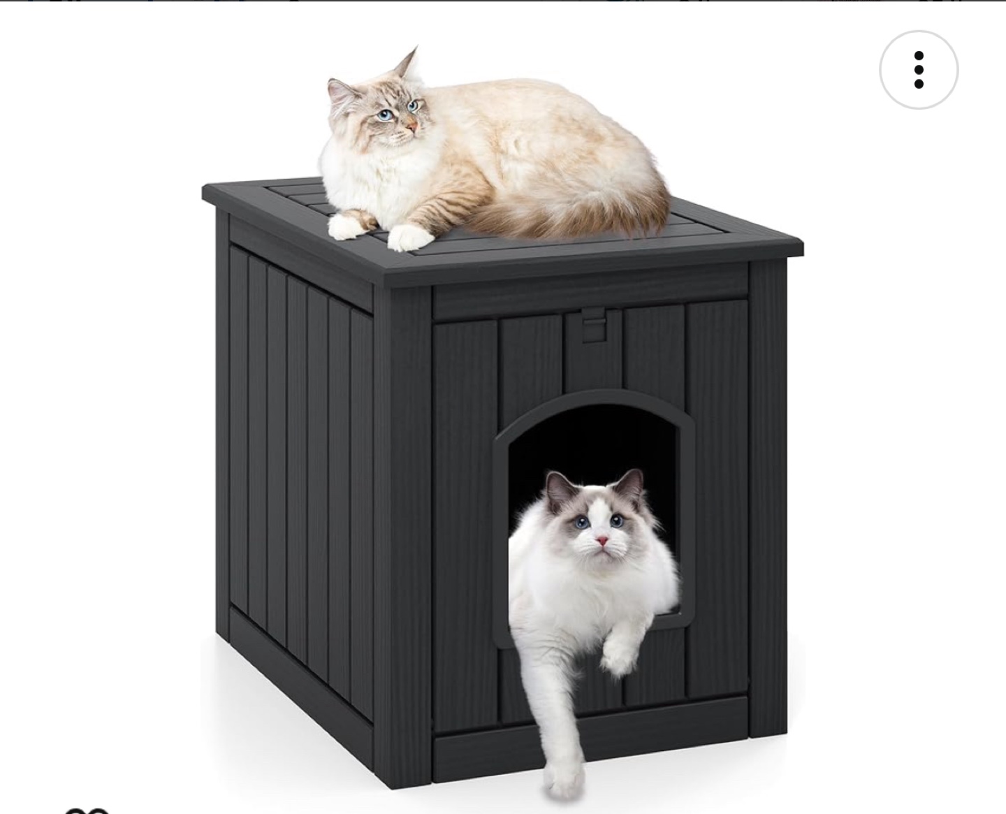 Hidden Cat Litter Box Enclosure