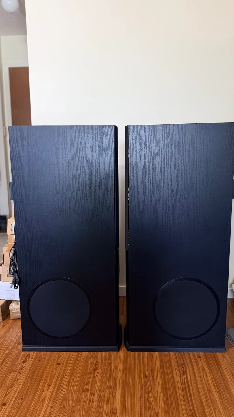 Powerful IKON CM6200 speaker system - photo 3
