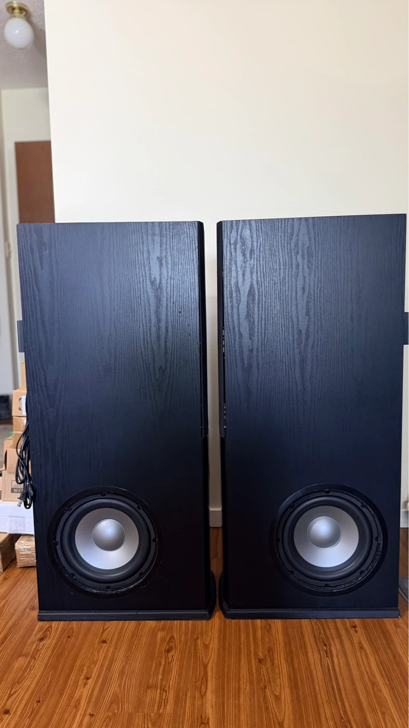 Powerful IKON CM6200 speaker system - photo 4