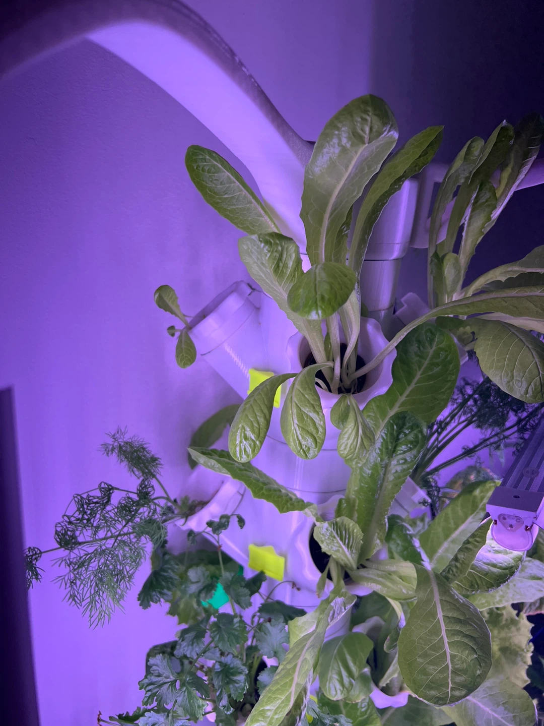 Vertical Hydroponic Garden Tower with LED Grow Lights - photo 2