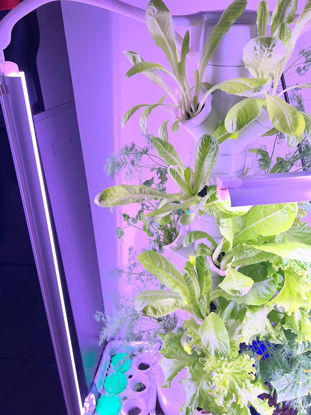 Vertical Hydroponic Garden Tower with LED Grow Lights - photo 5