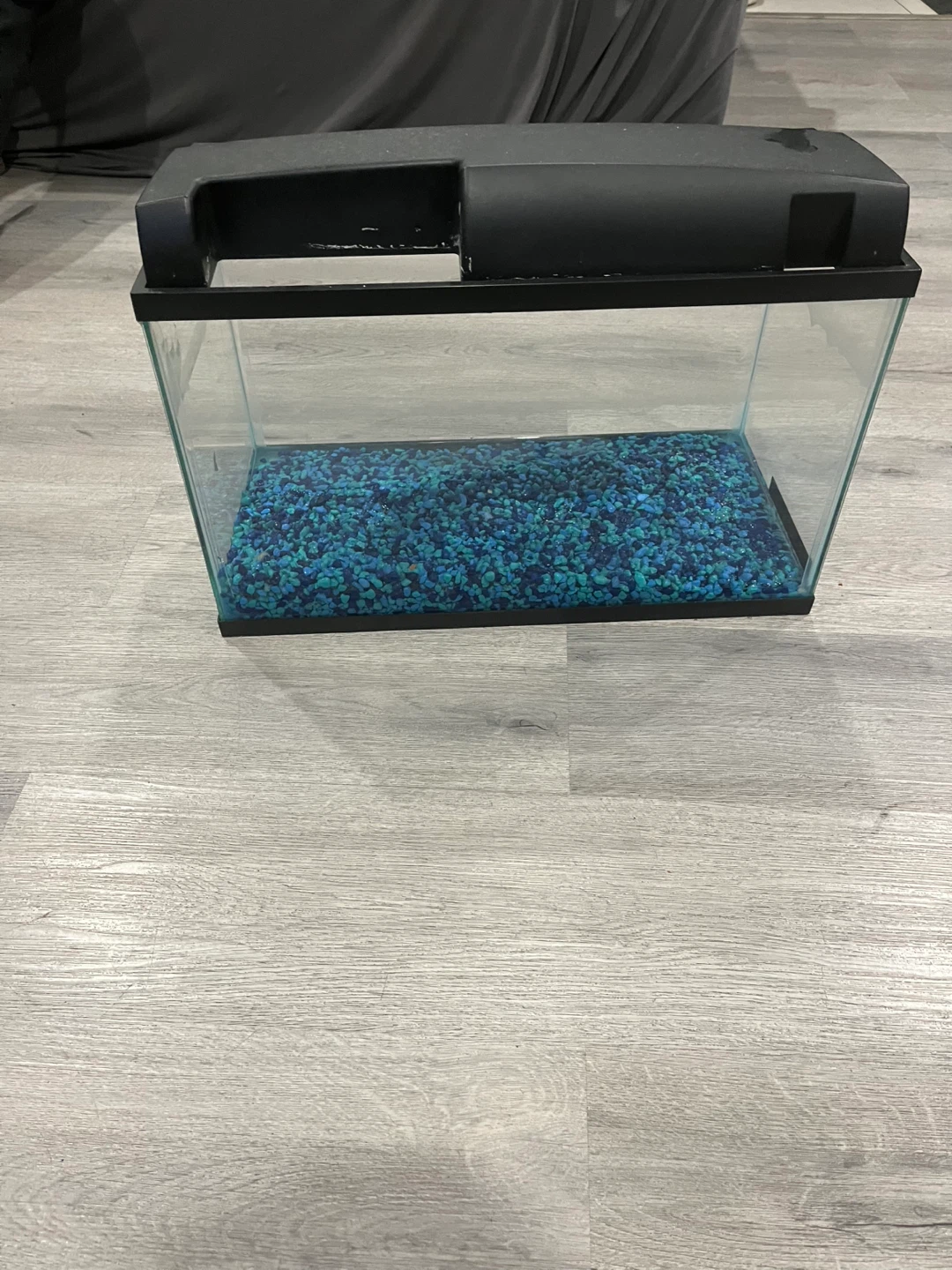 Small Aquarium Tank with Blue Gravel - photo 2