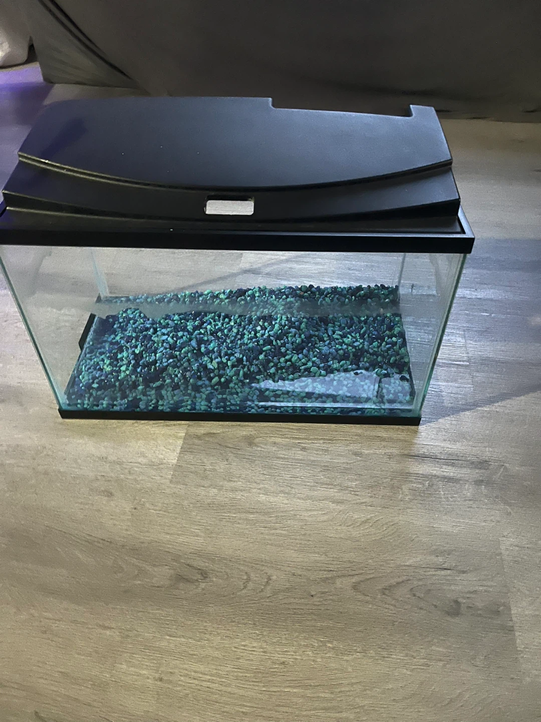 Small Aquarium Tank with Blue Gravel - photo 4