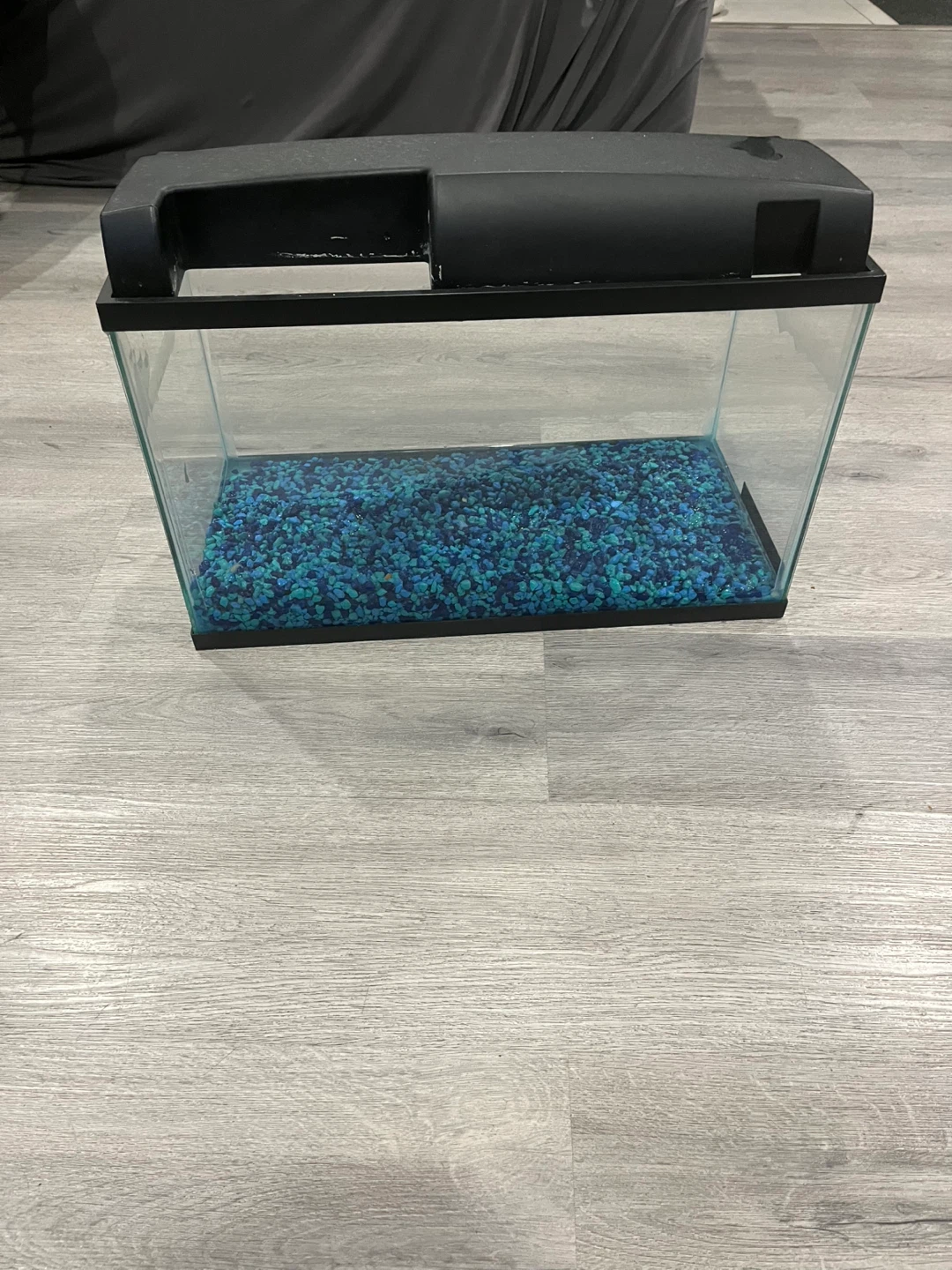 Small Aquarium Tank with Blue Gravel - photo 3