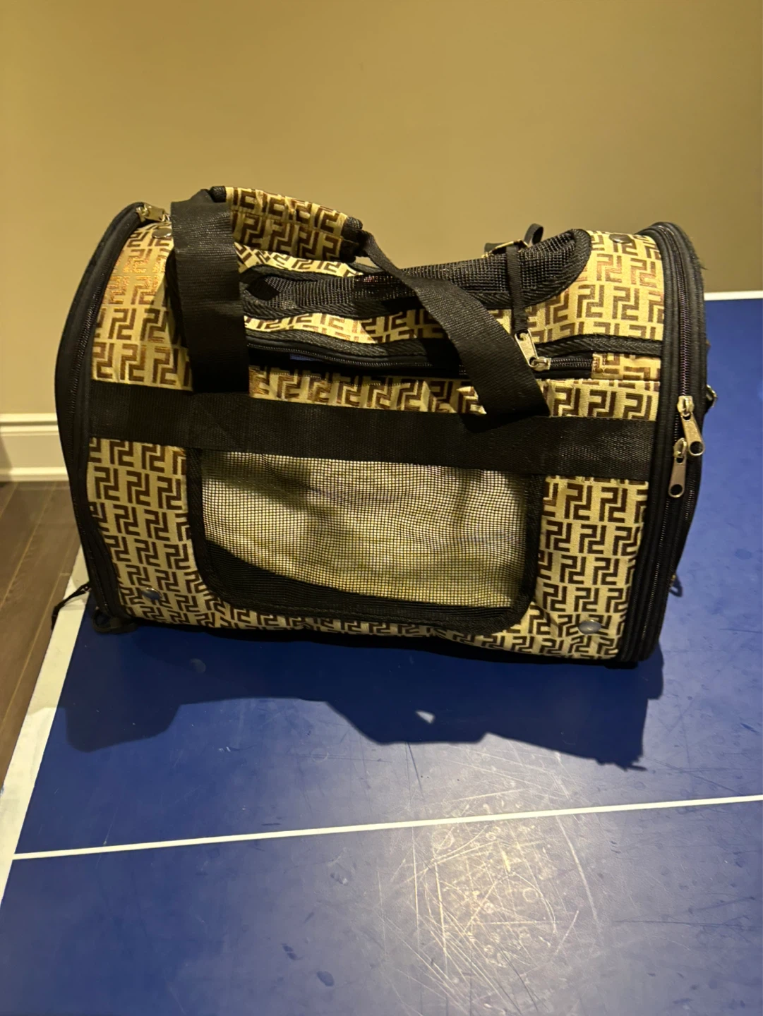 Pet Carrier Bag