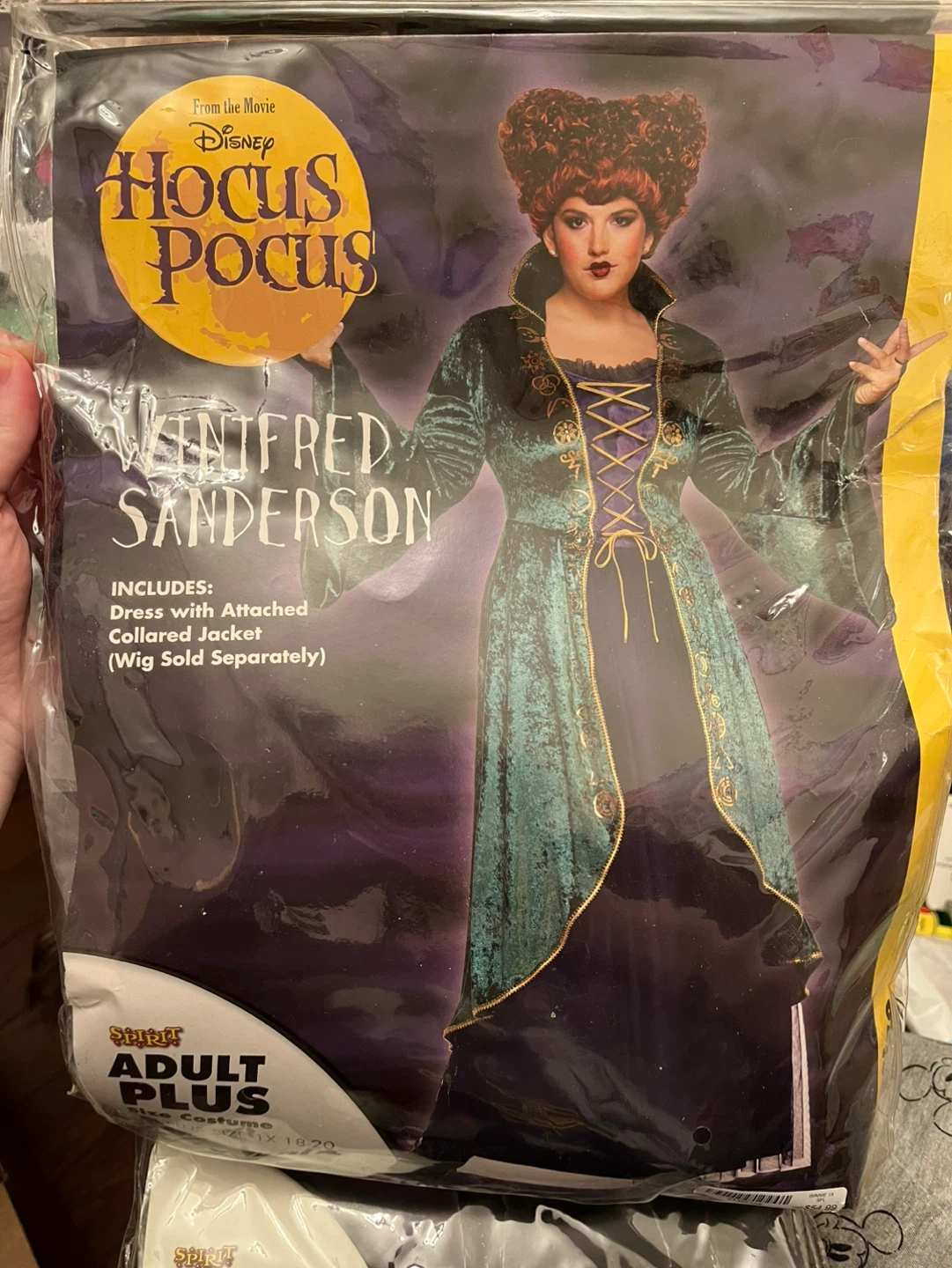 Hocus Pocus Winifred Sanderson Adult Plus Size Costume