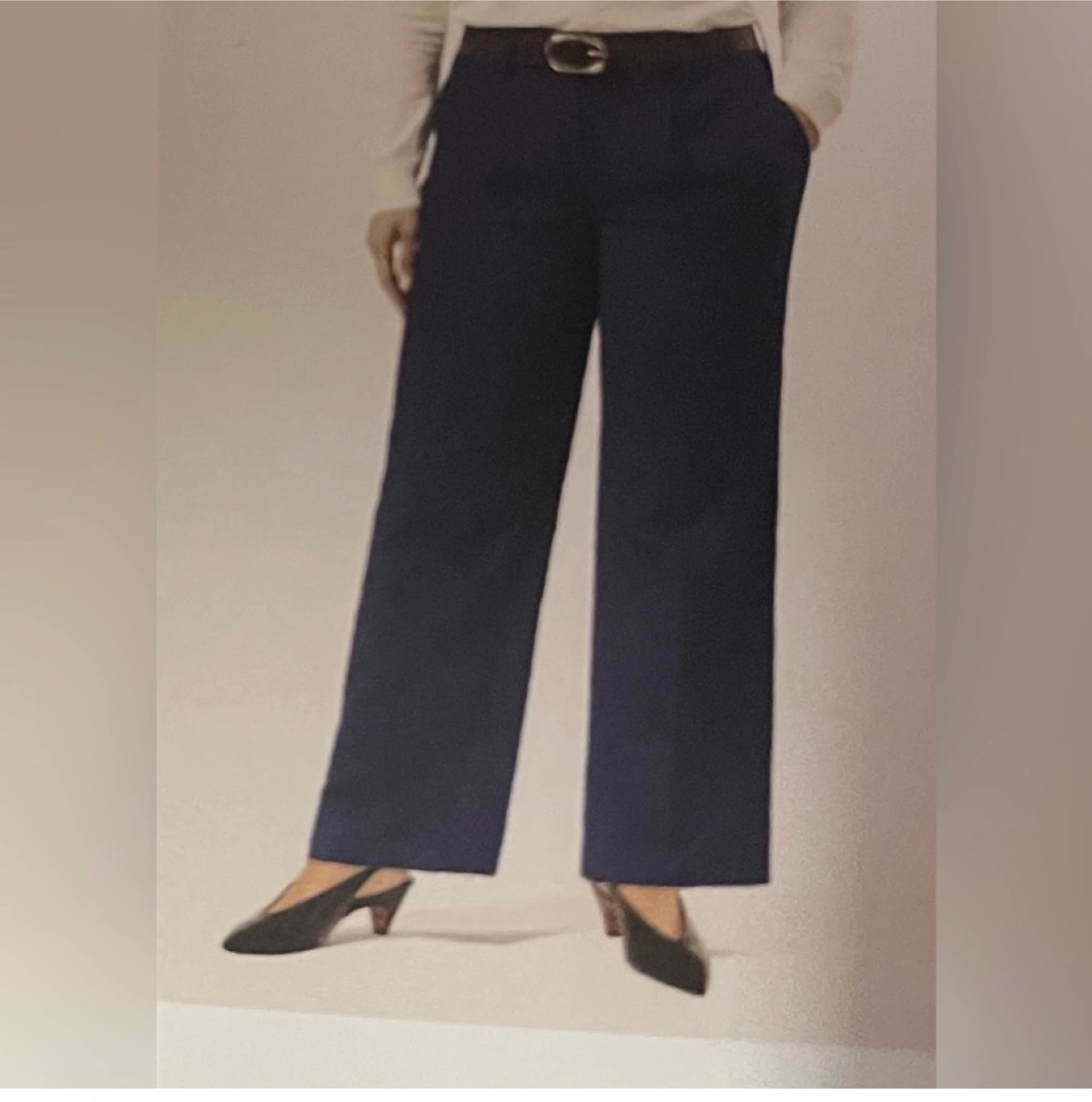 Banana Republic Women's Navy Wide Leg Pants Size 14