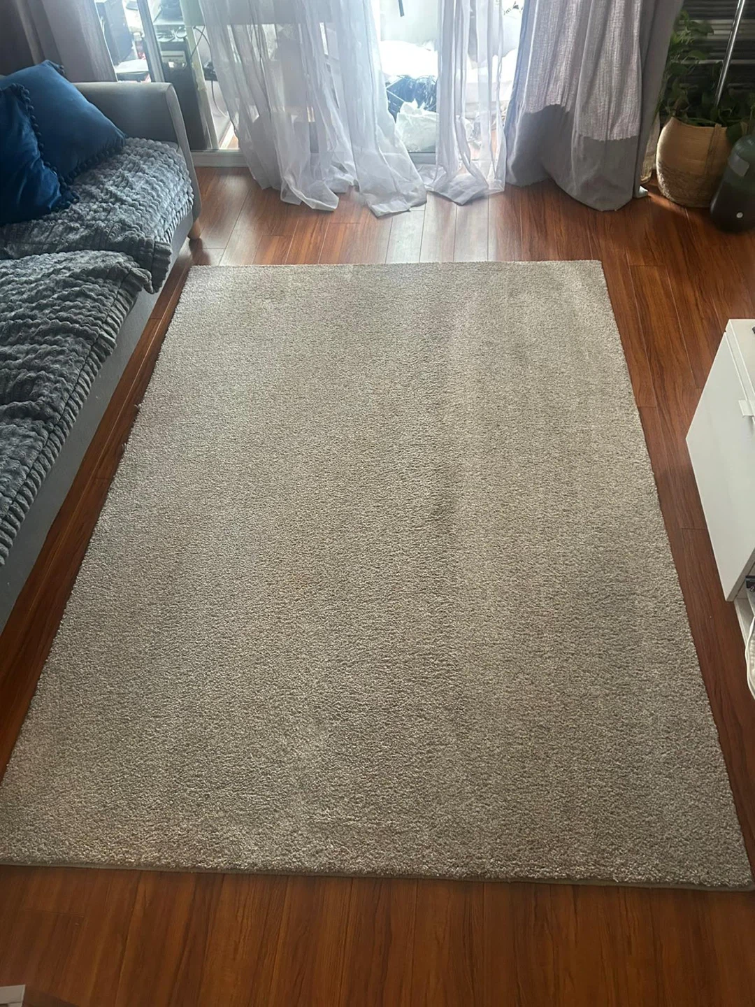 Clean Area Carpet no pets. - photo 3