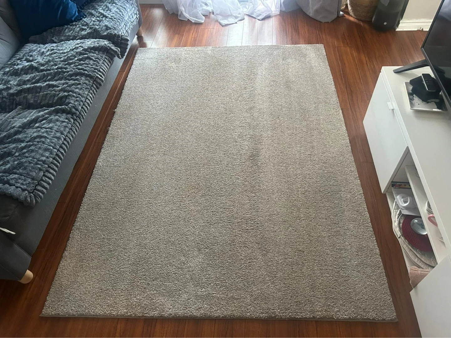 Clean Area Carpet no pets.