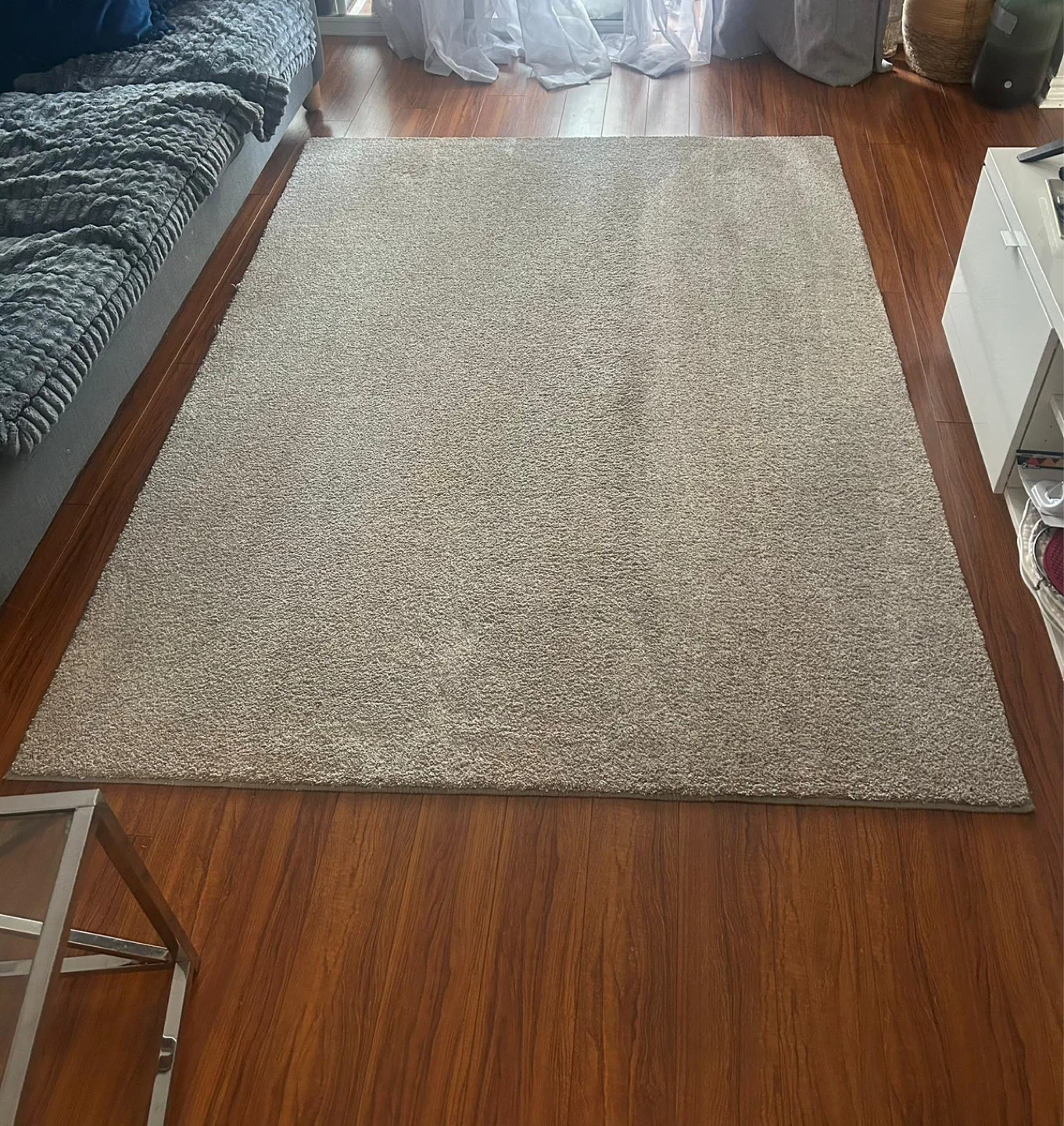 Clean Area Carpet no pets. - photo 2