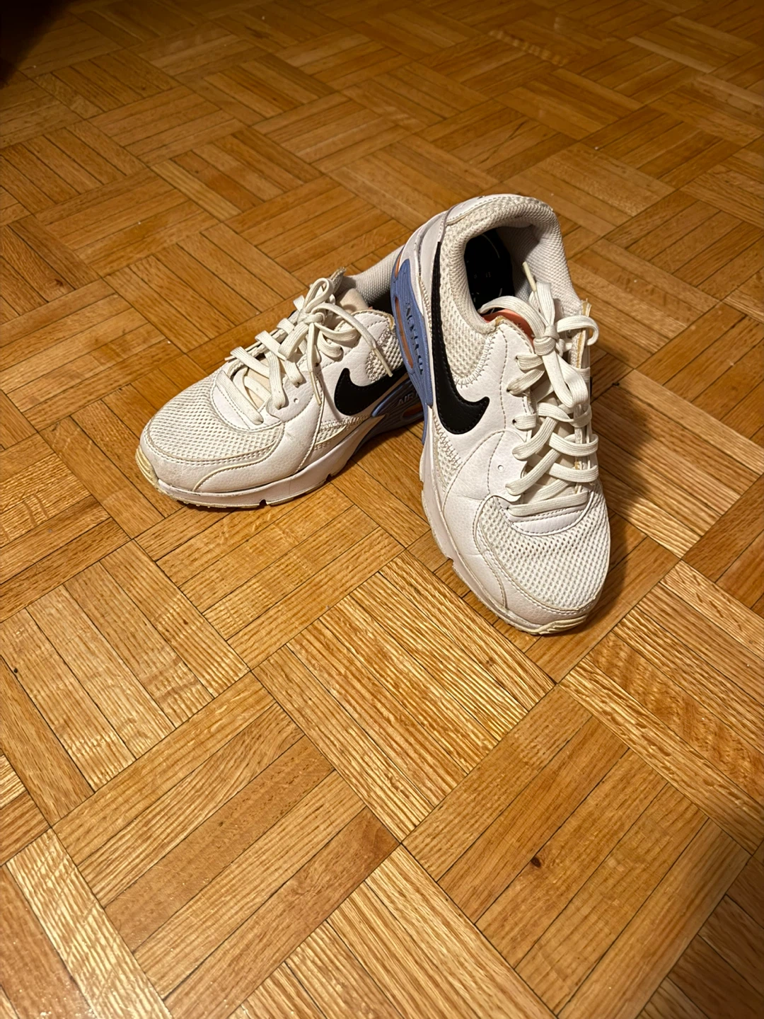 Nike Air Max Sneakers