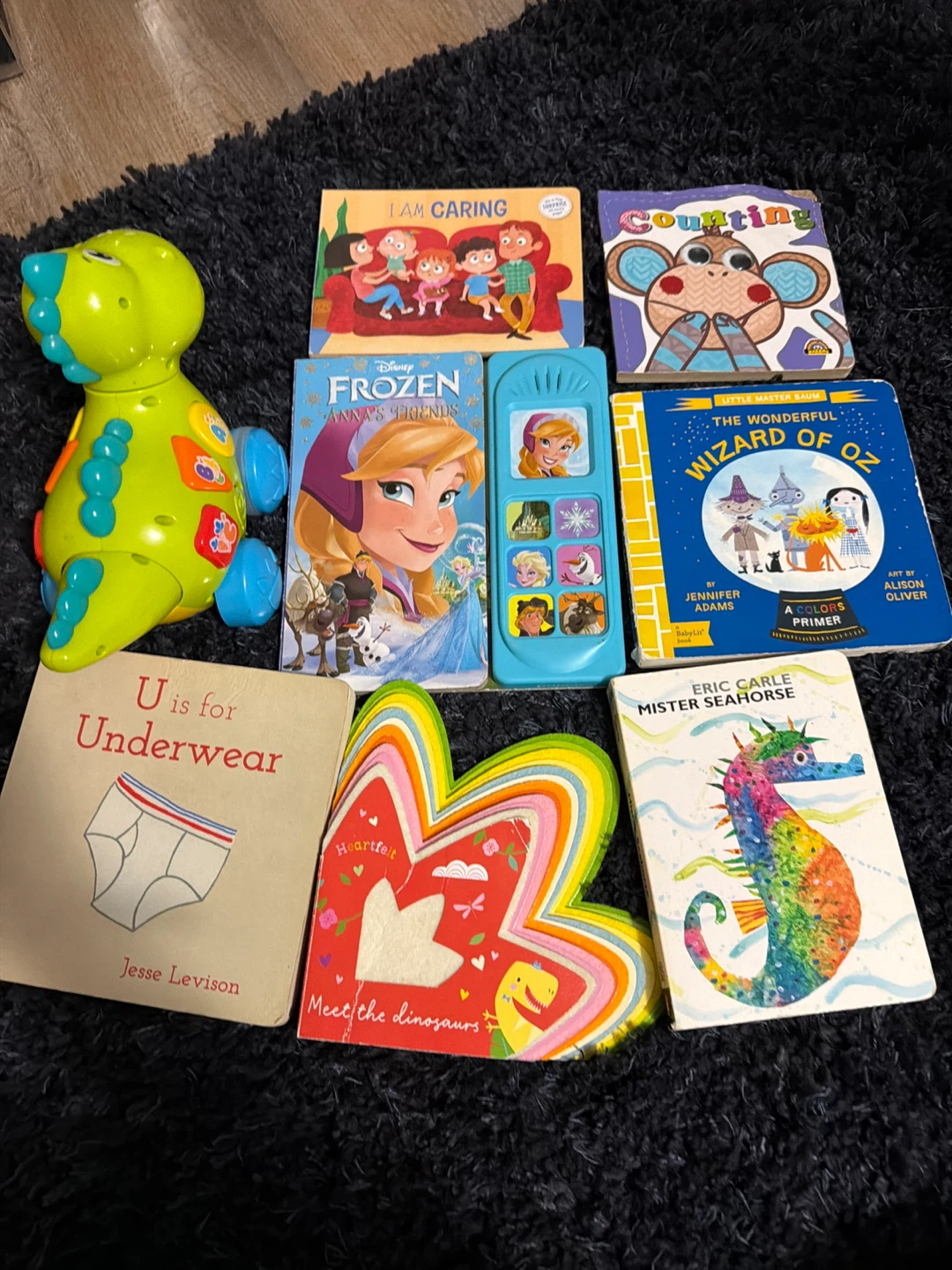 Children's Board Books Bundle: Frozen, Wizard of Oz, Eric Carle
