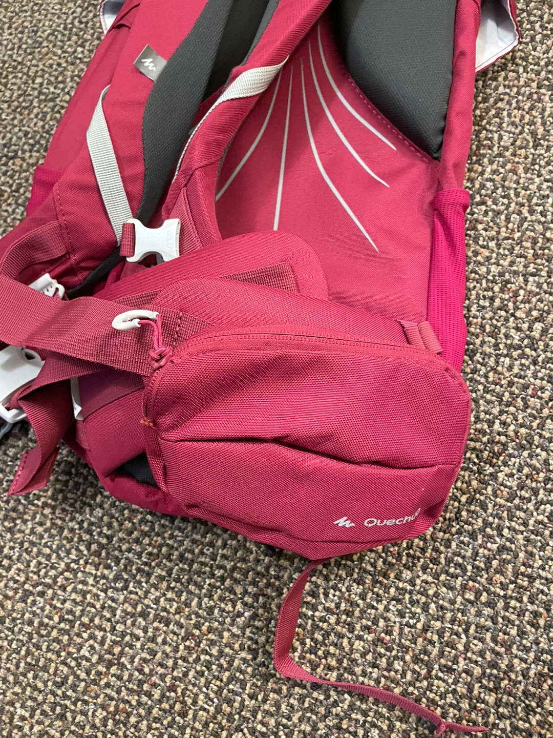Day Hike 20L Backpack - photo 4